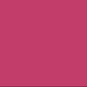 Fuchsia Fuchsia