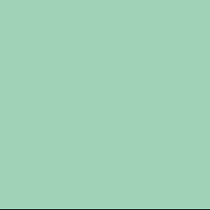 Mint Mint