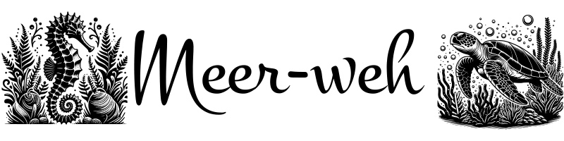 Meer-weh