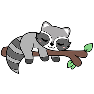 Waschbär1