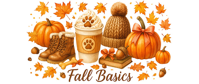 Fall Basics