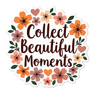 Collect