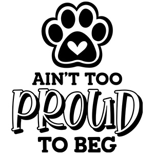 Proud Proud