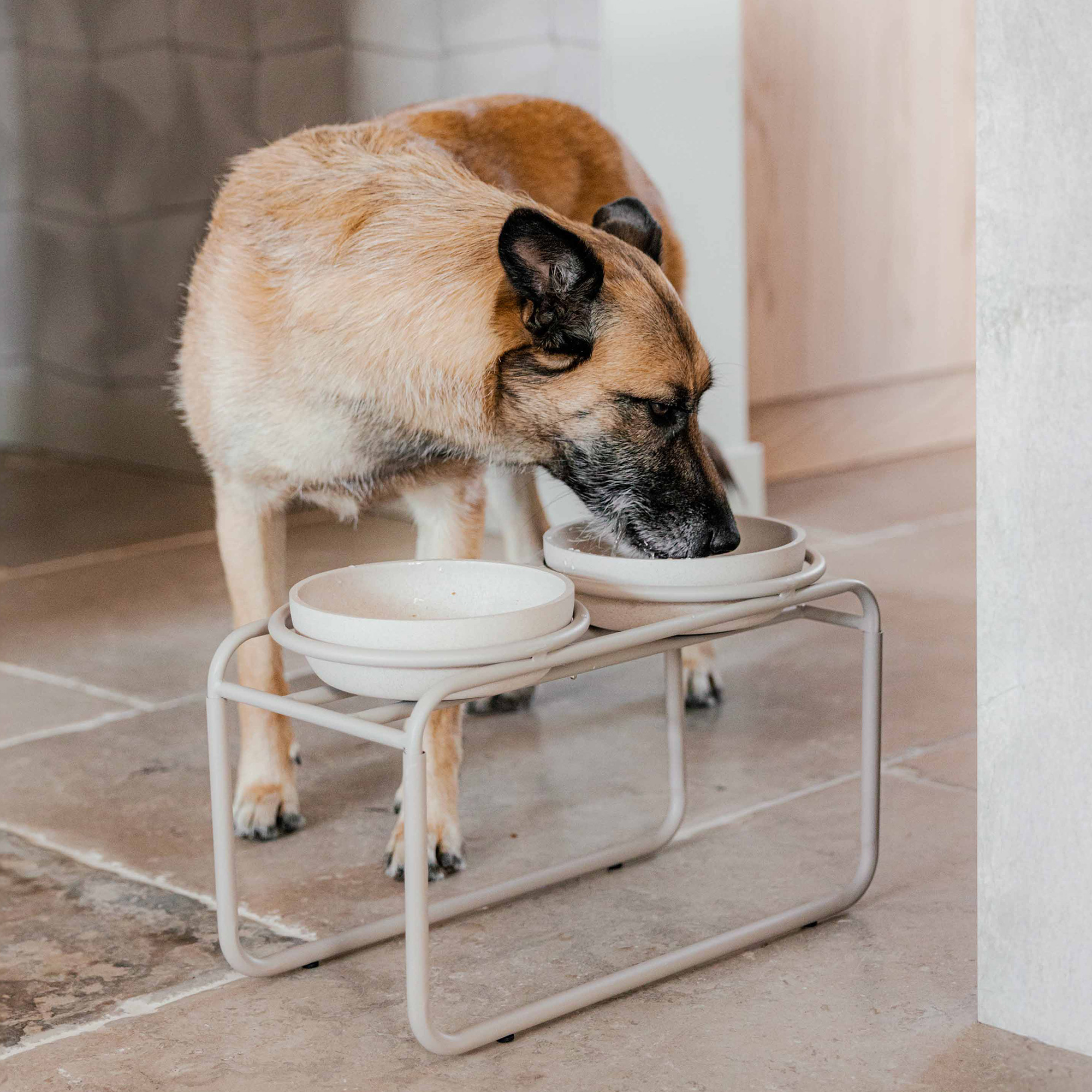District 70 Erhöhter Hundenapfständer BUTLER – Soft Beige verschiedene Größen