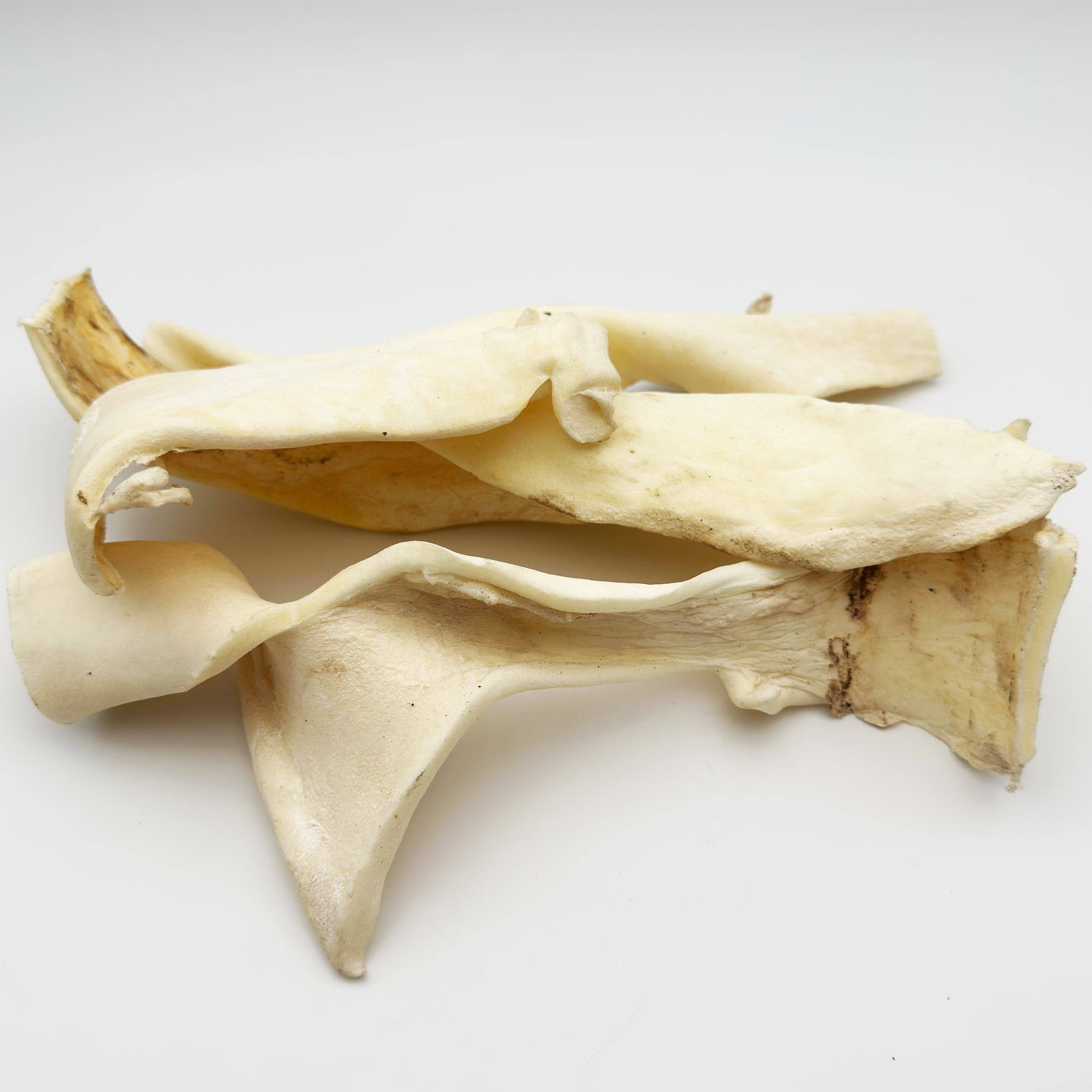 Rinder Kauchips lang