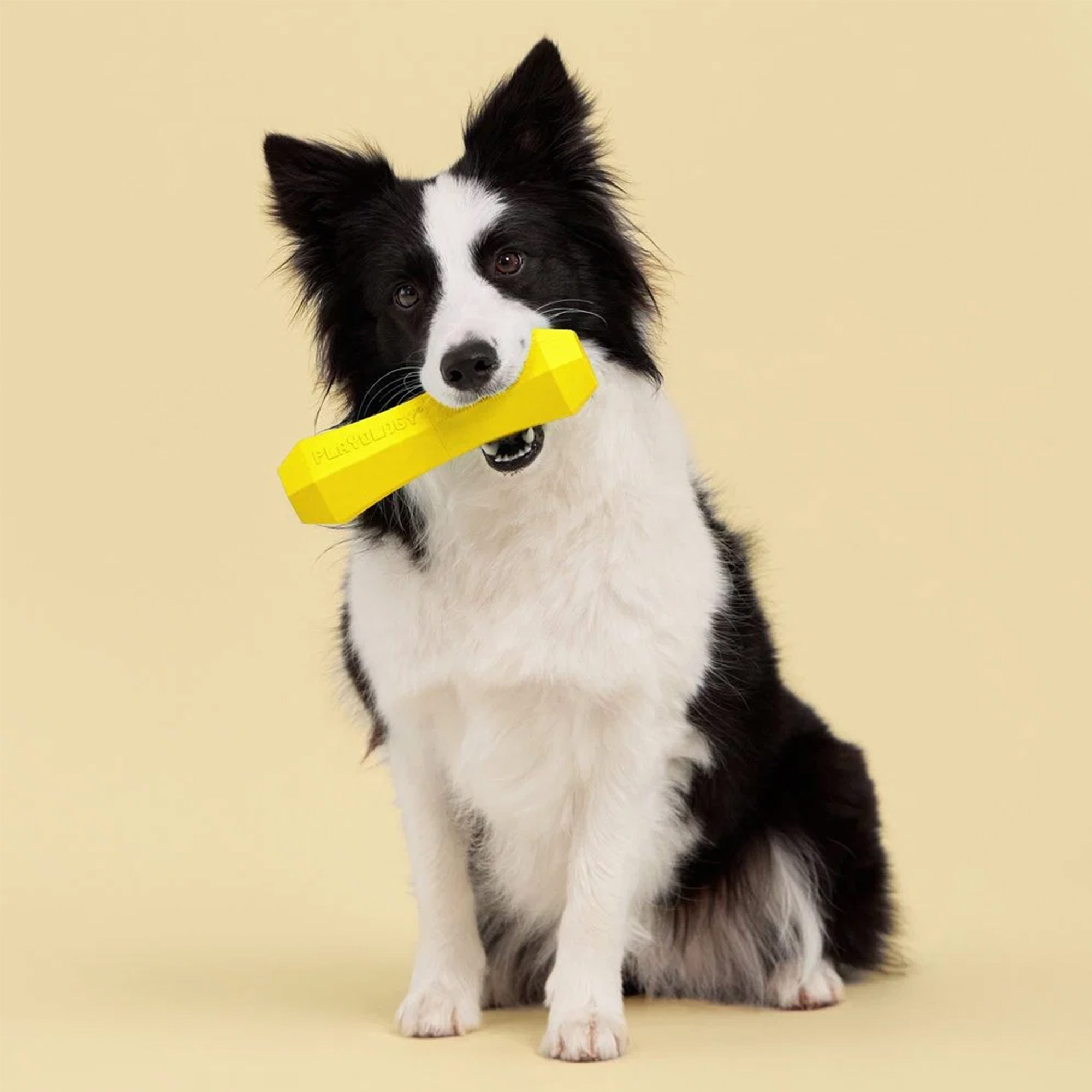 Playology Squeaky Chew Stick Huhn