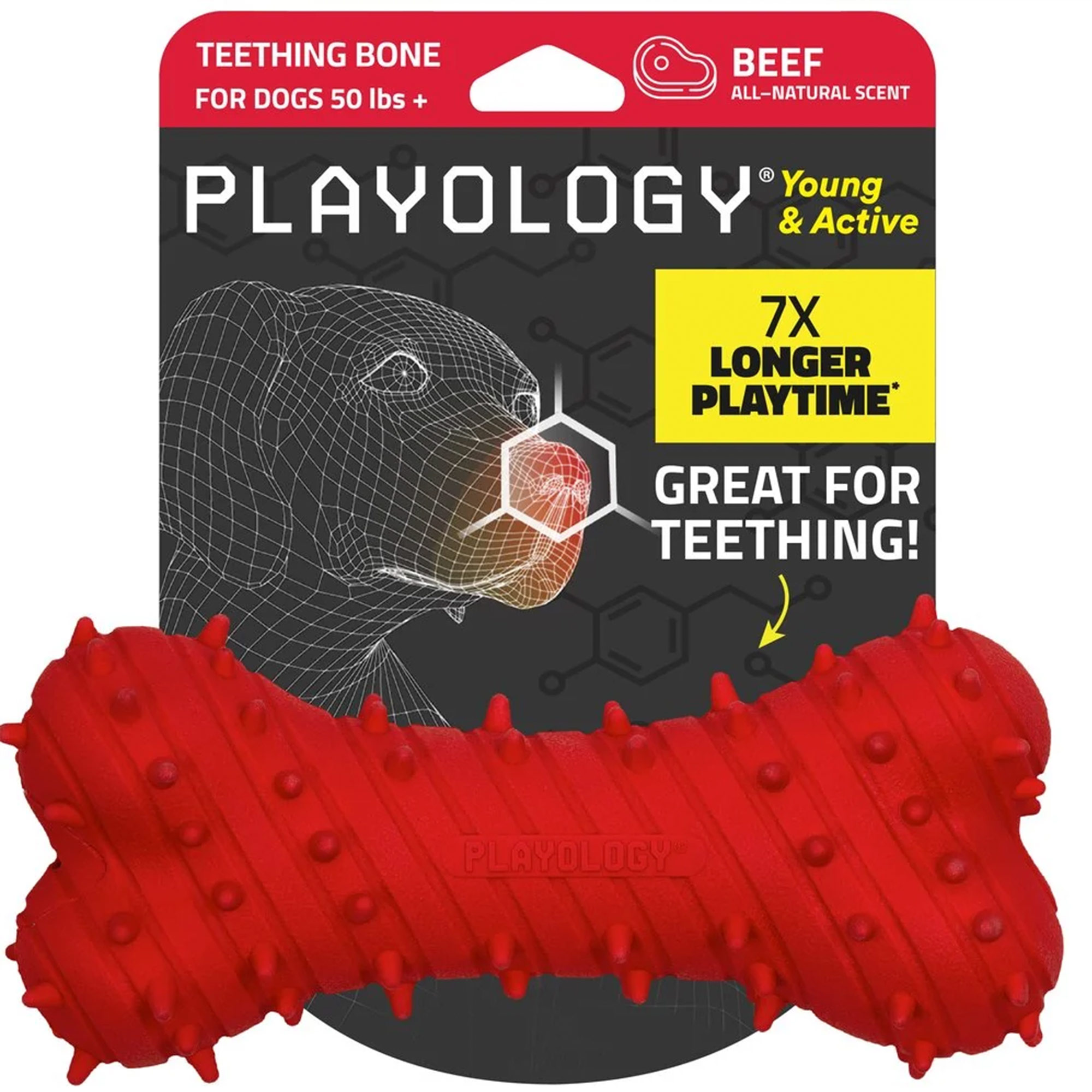 Playology Teething Bone Jumbo – Rind