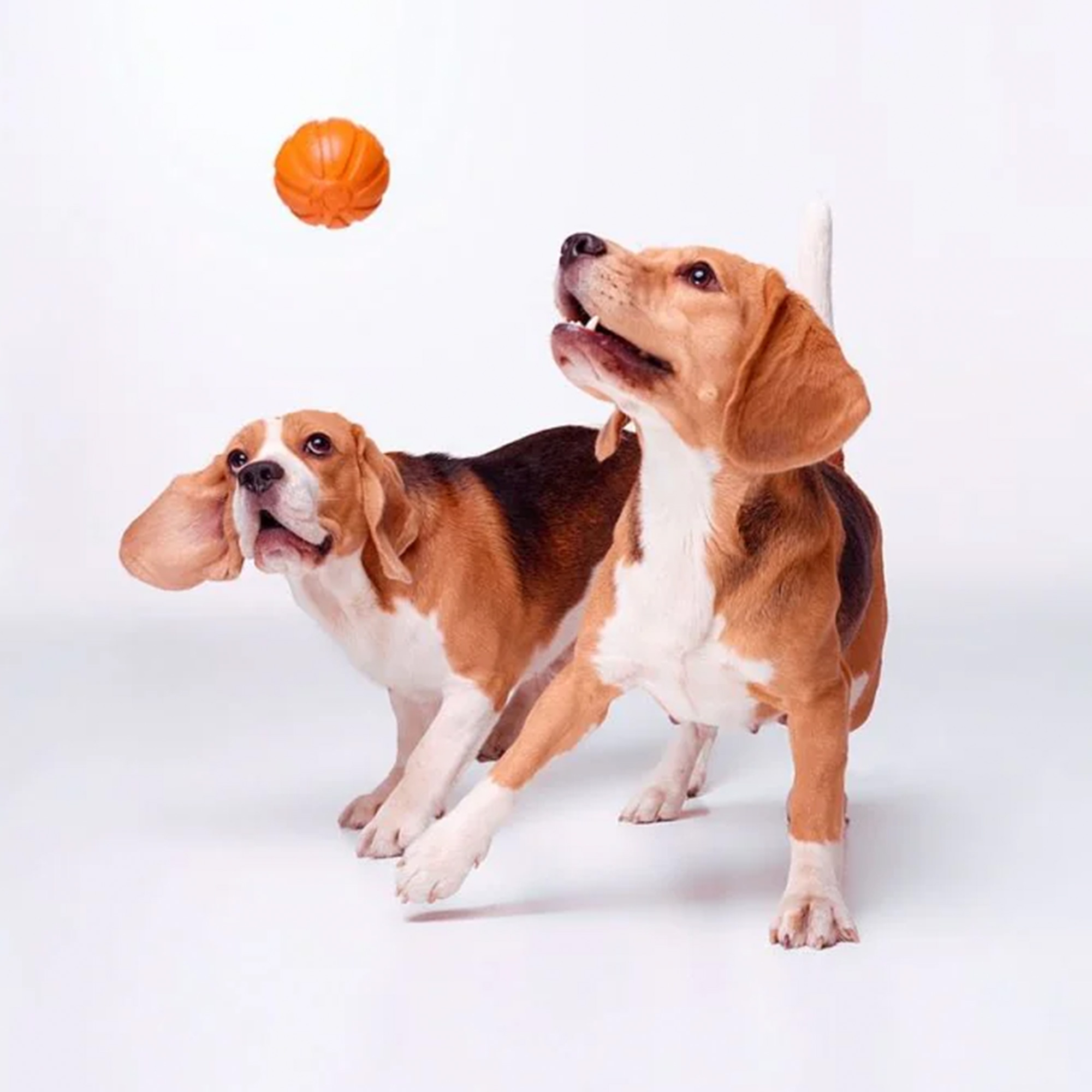 Multifunktionaler Hundeball LIKER – Das ultimative Apportierspielzeug