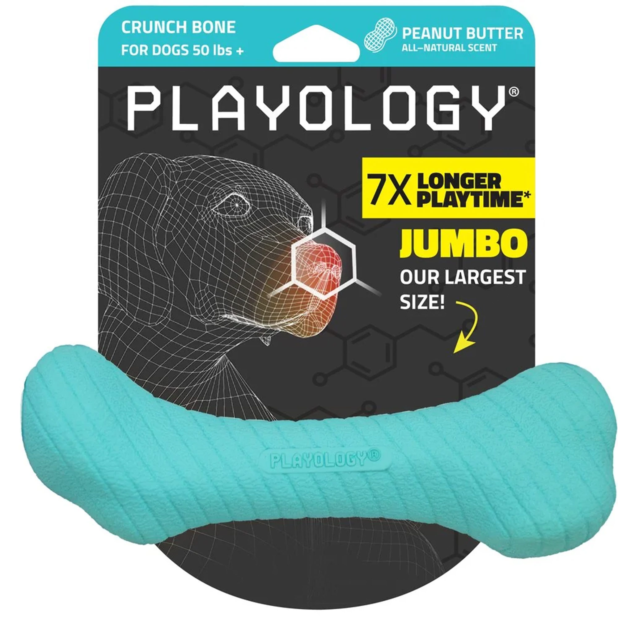 Playology Crunchy Femur