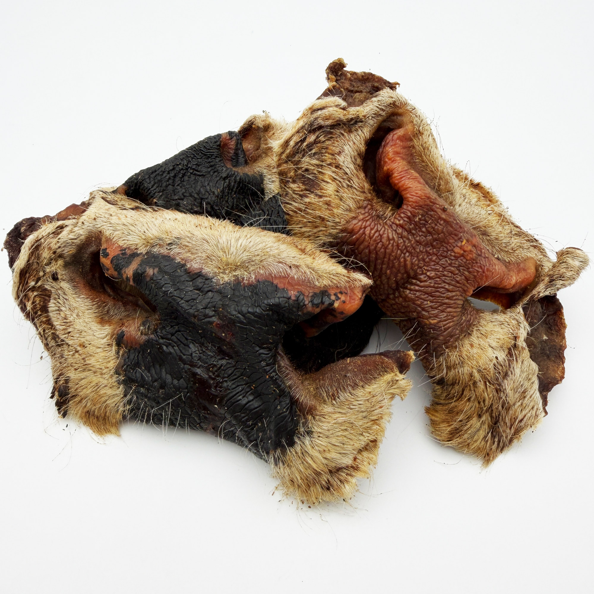 Rinder Nase mit Fell