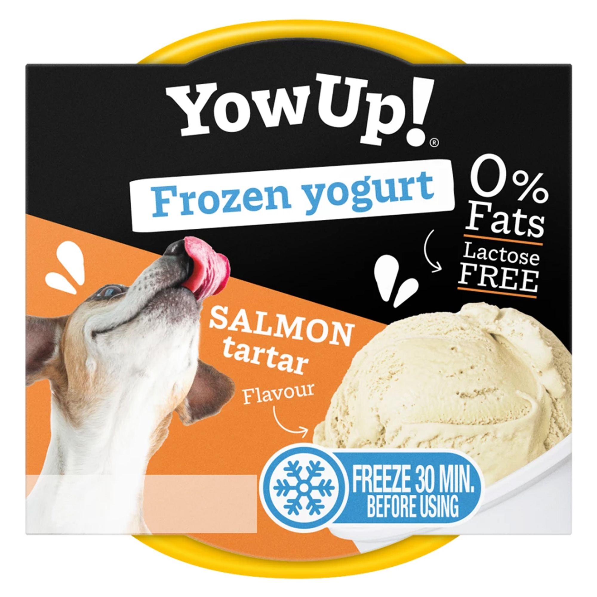 YowUp! Frozen Yoghurt Lachs Tartar YowUp! Frozen Yoghurt Lachs Tartar