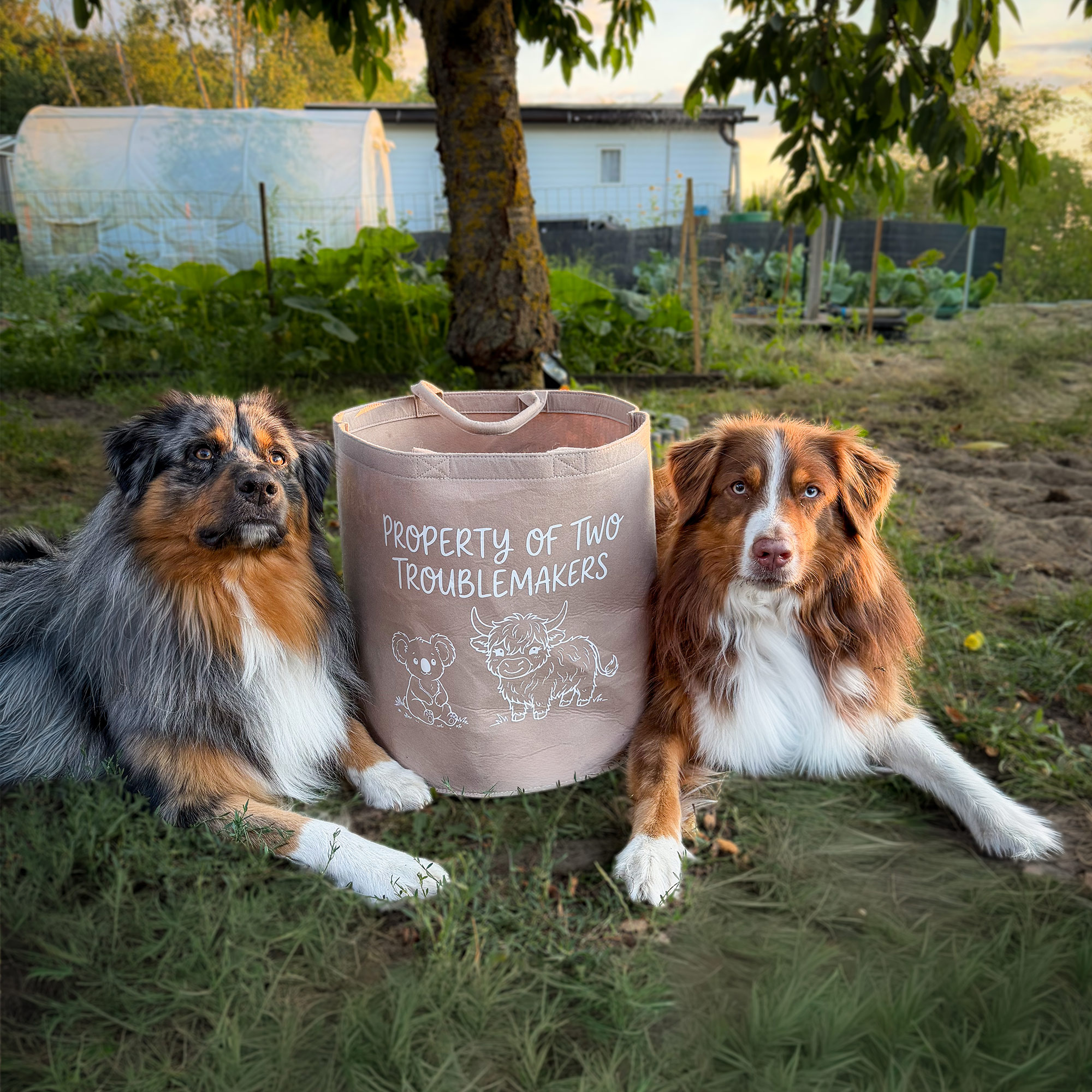 Custom Personalized Felt Pet Toy Basket