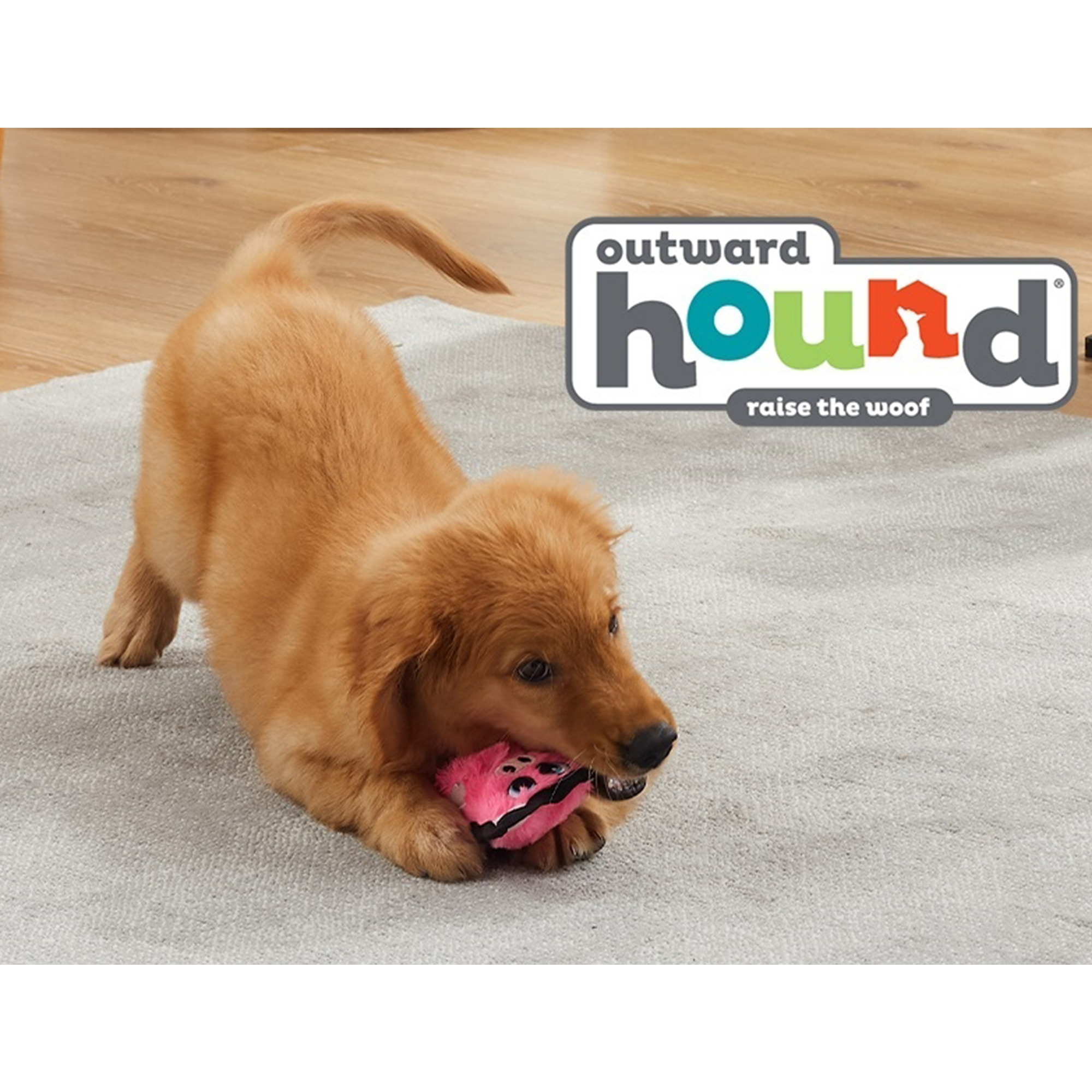 Outward Hound Durablez Pig XS ABVERKAUF