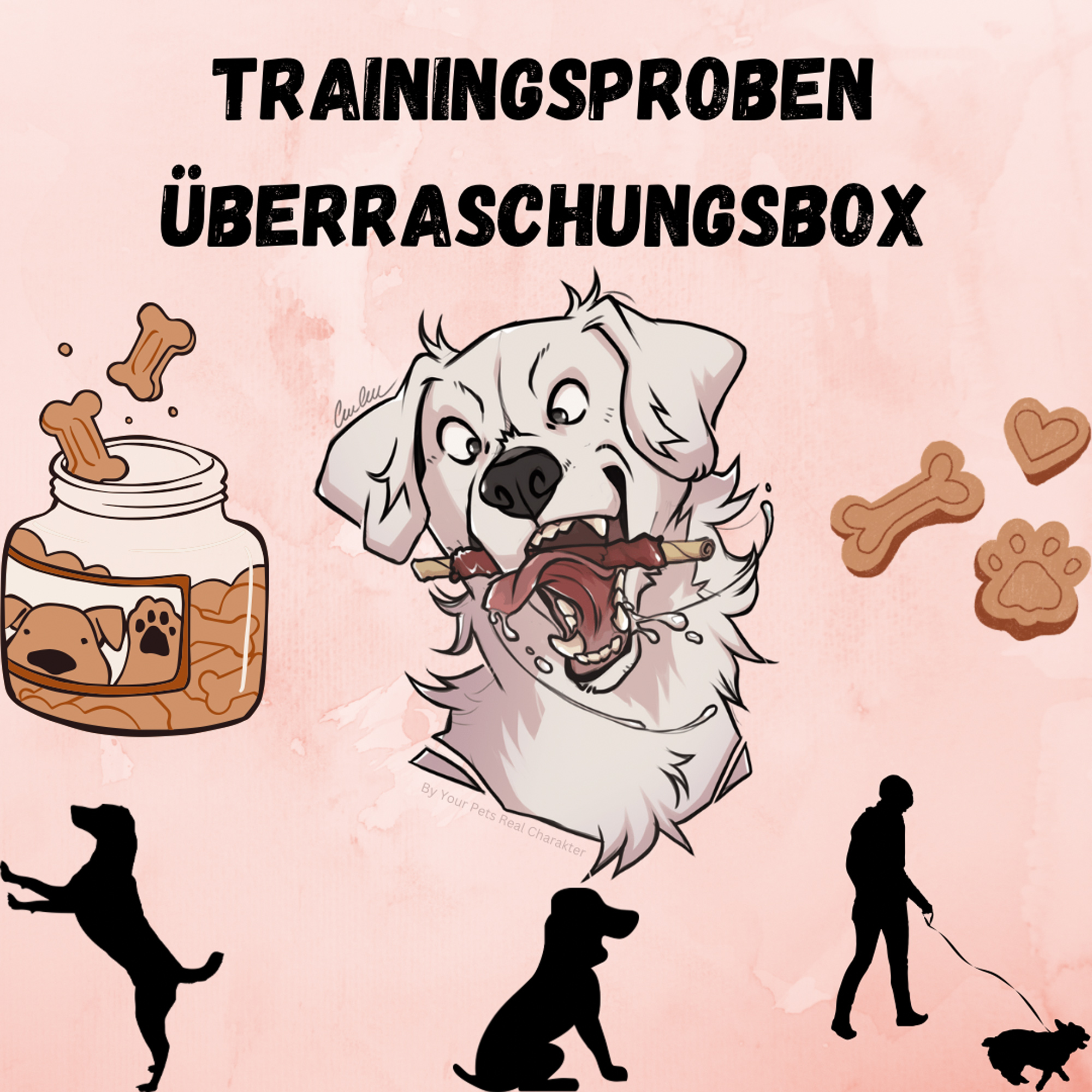 Trainingssnack-Überraschungsbox (Proben)