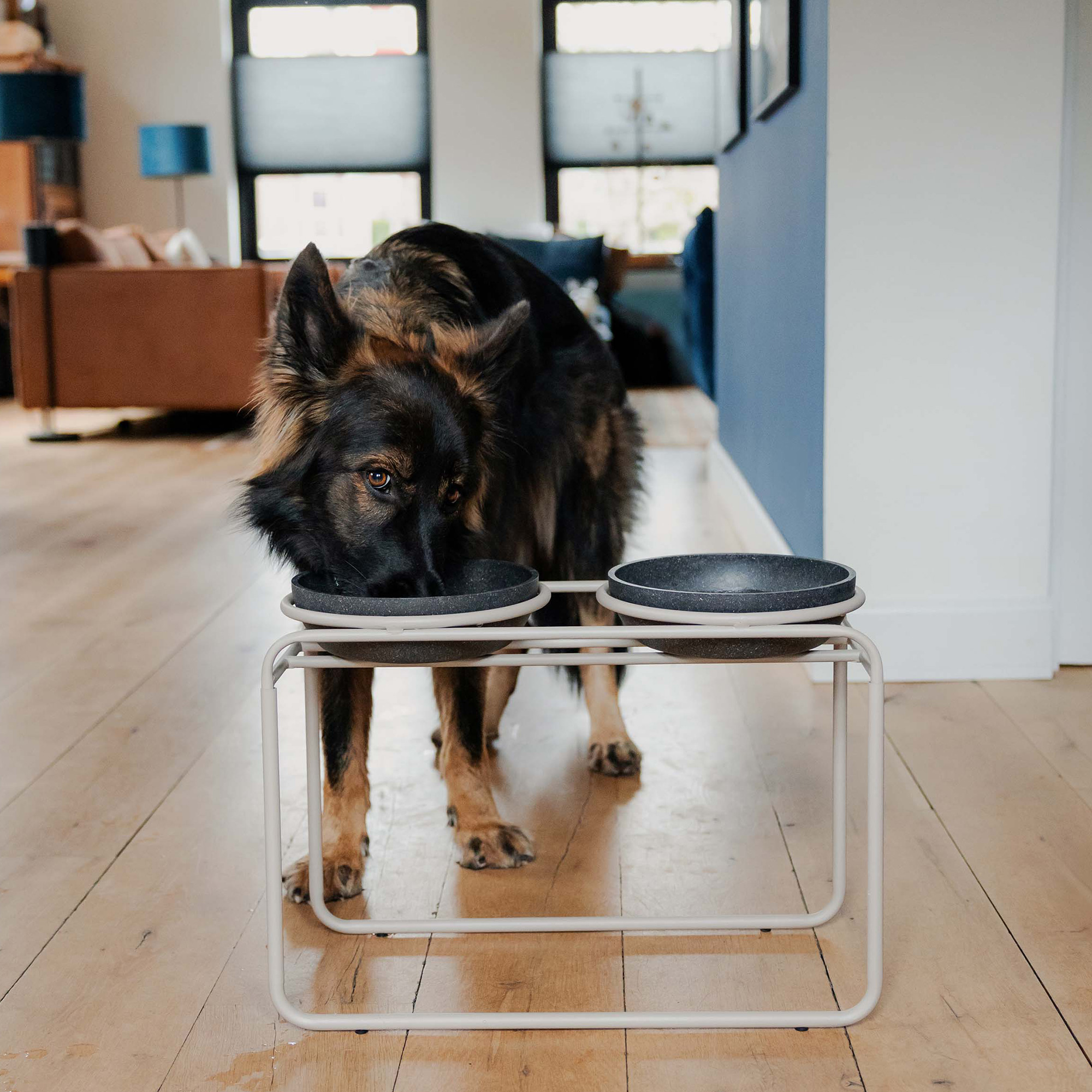 District 70 Erhöhter Hundenapfständer BUTLER – Soft Beige verschiedene Größen
