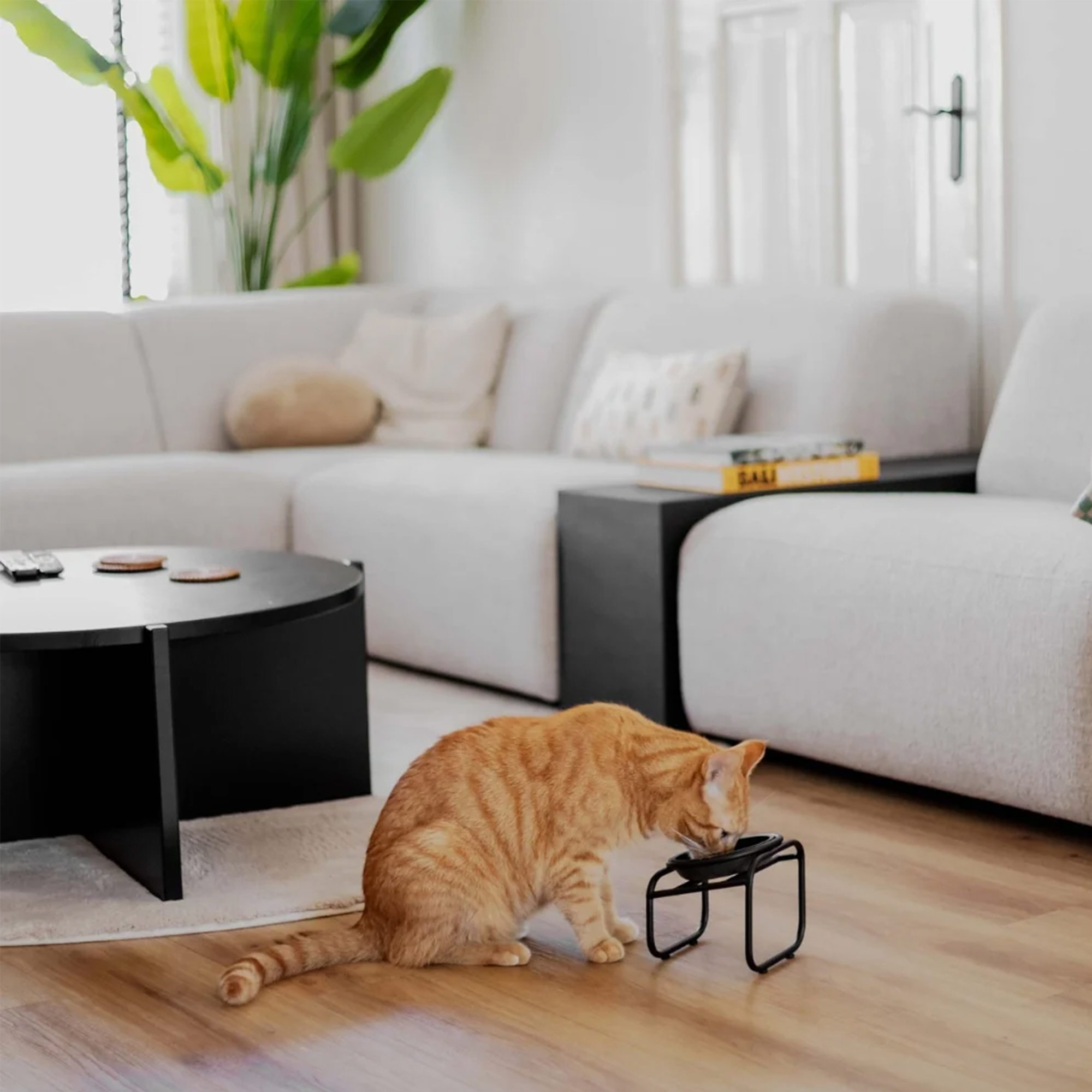 District 70 BUTLER Single Napfständer für Katzen – Schwarz