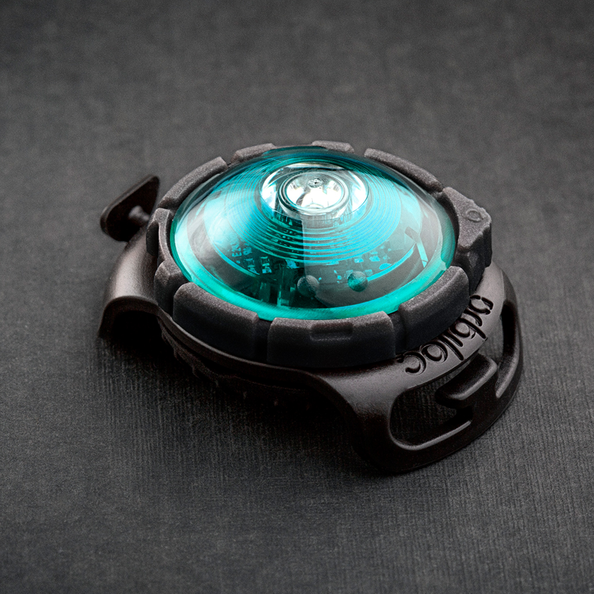 Orbiloc™  Dog Dual