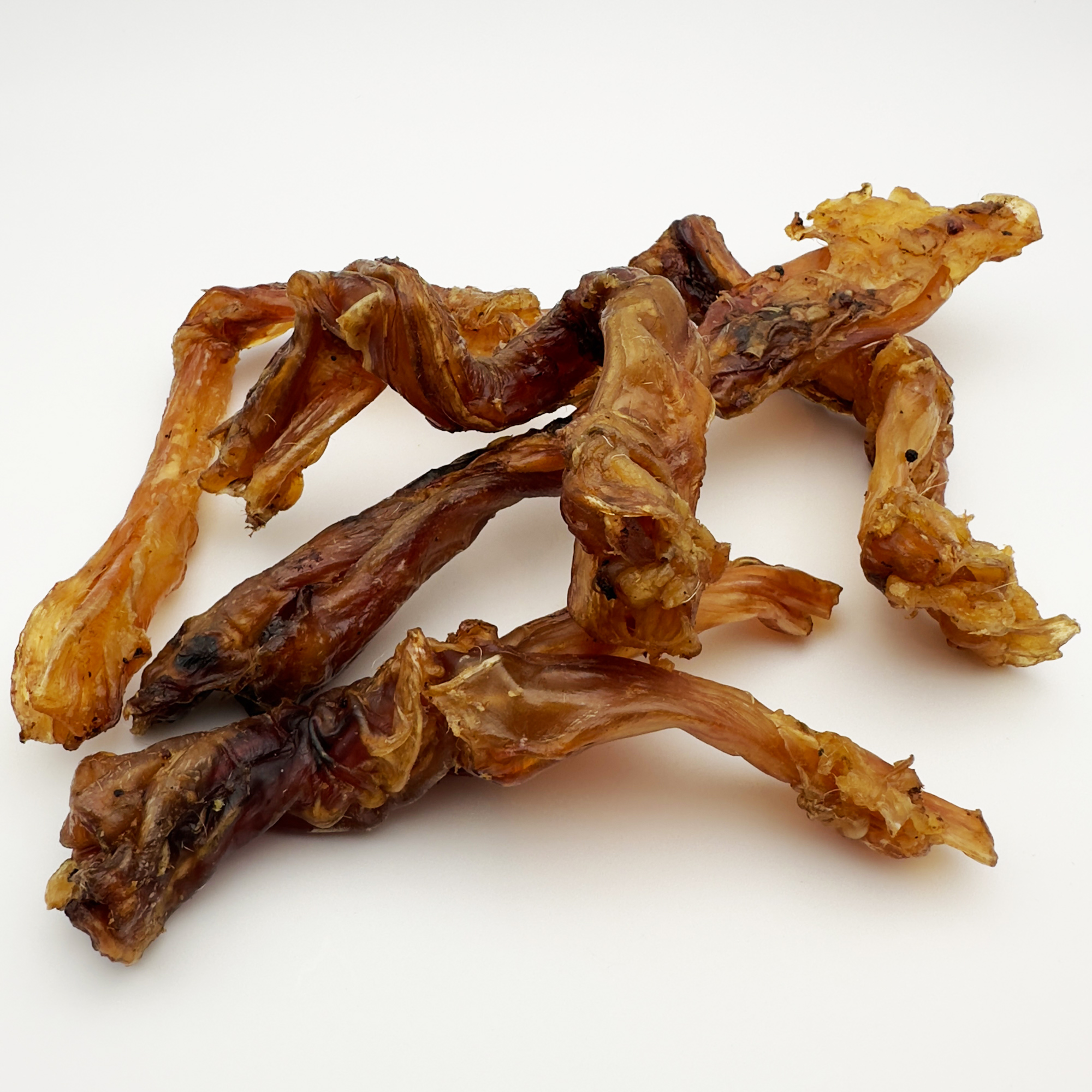 Pferde Achillessehne