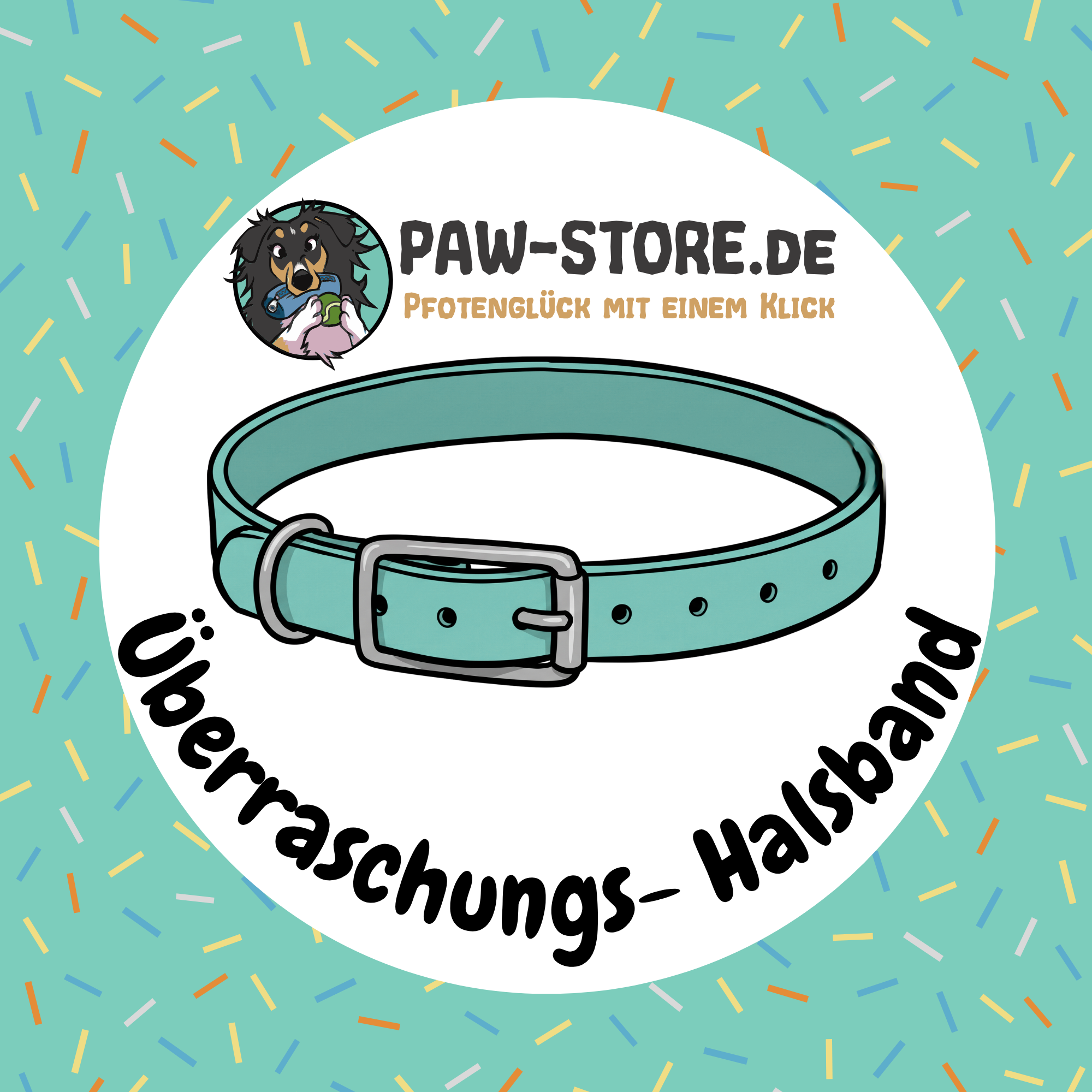 Engraved BioThane® Mystery Dog Collar in 25mm or 38mm