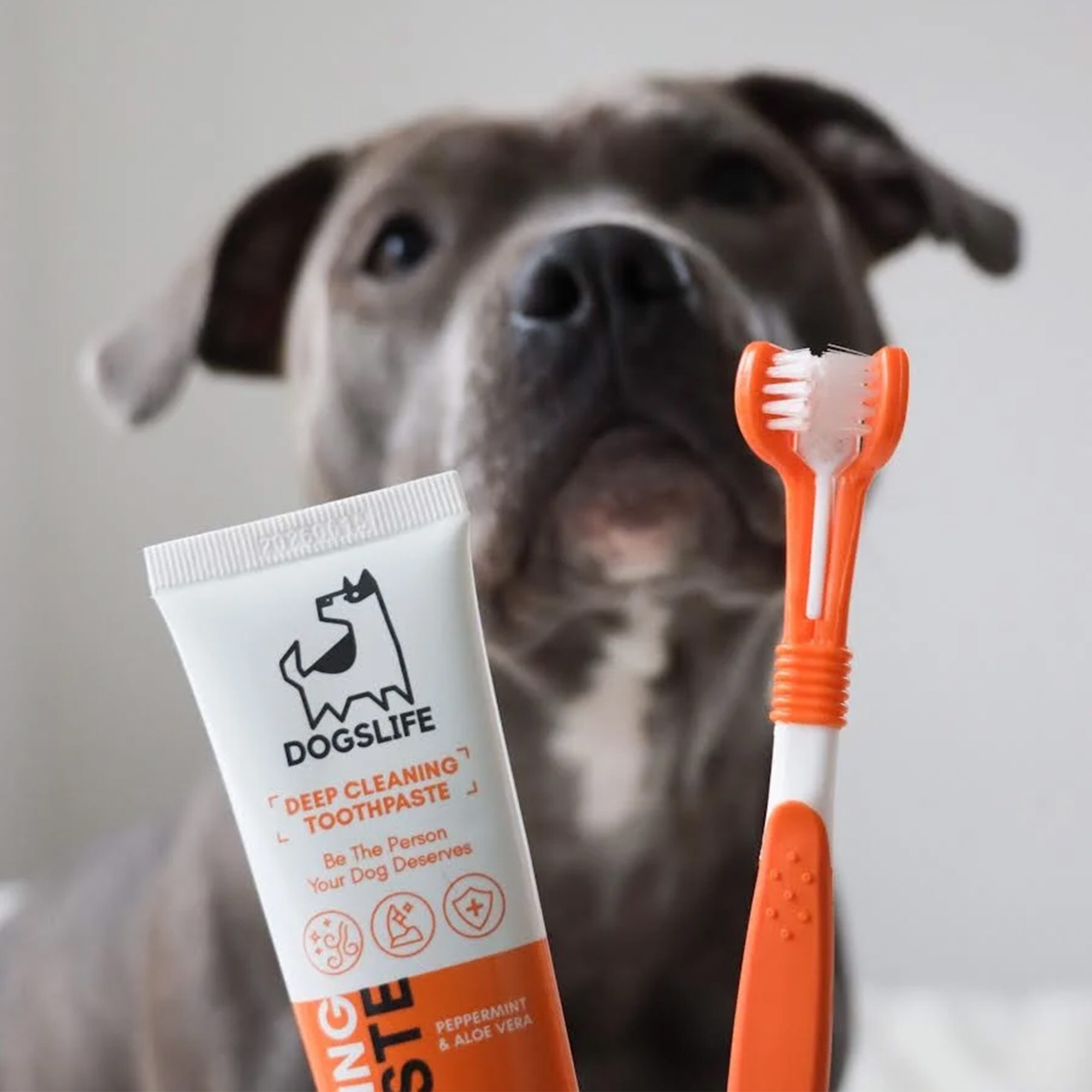 OurDogsLife Dental Care Kit for Dogs
