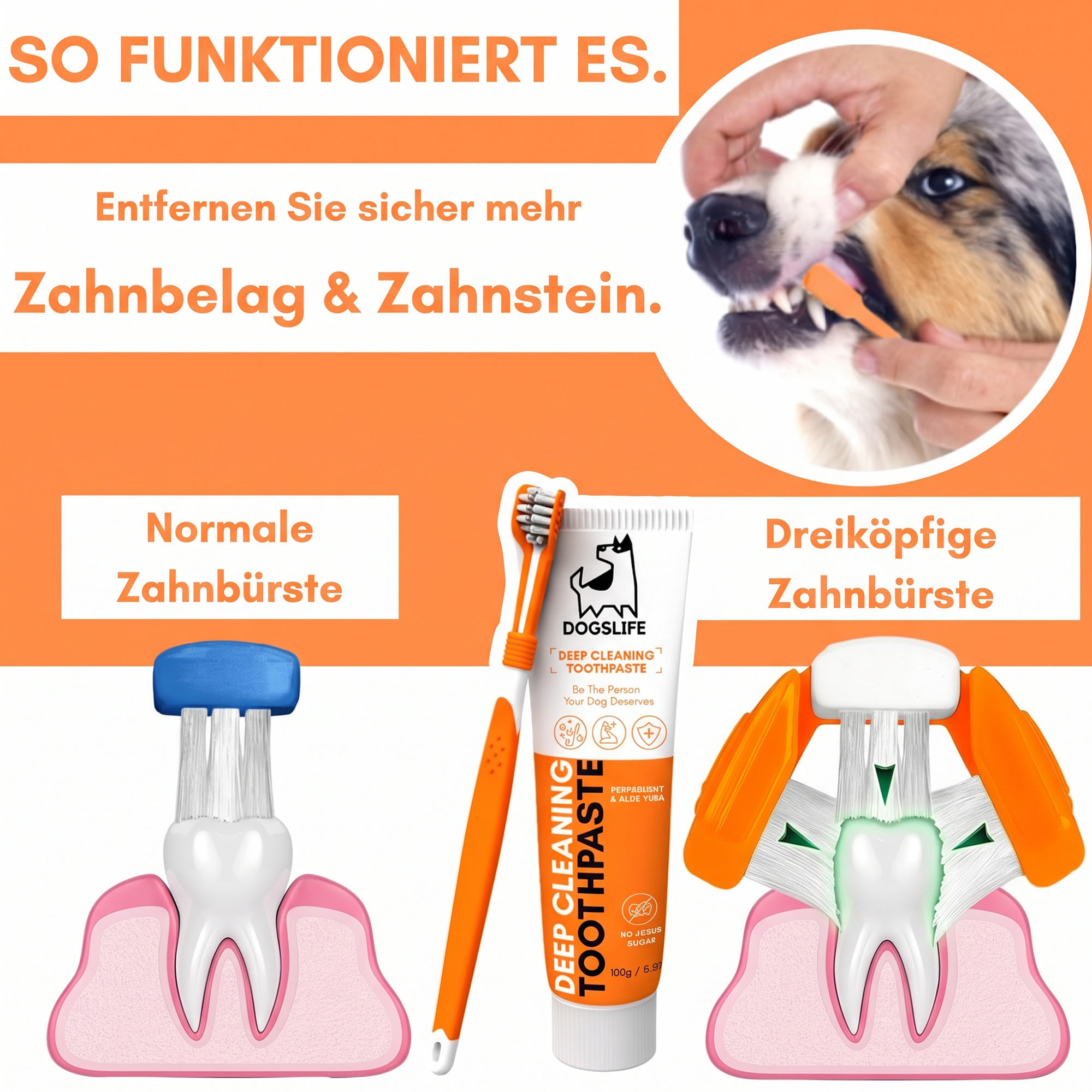 OurDogsLife Dental Care Kit for Dogs