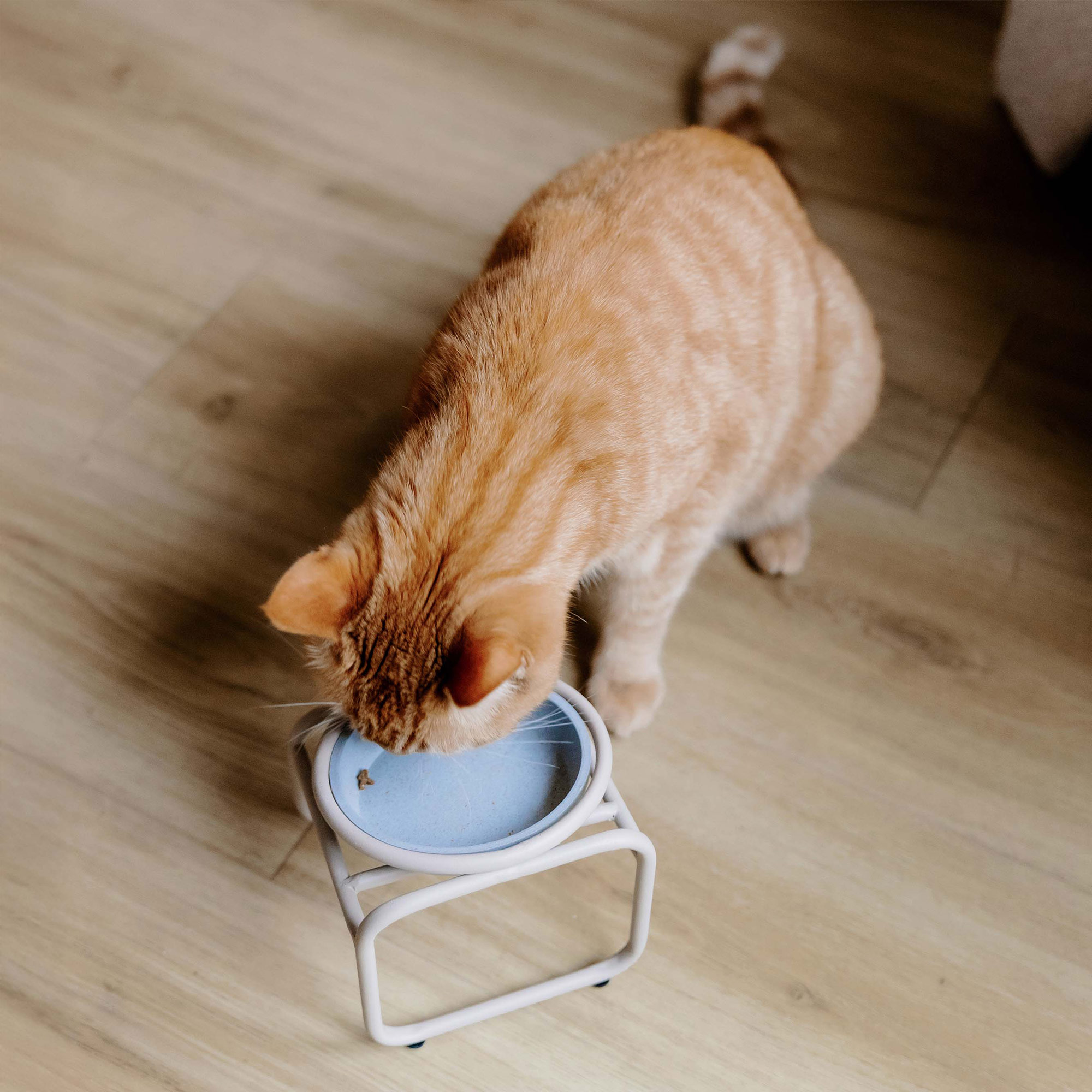 District 70 BUTLER Single Napfständer für Katzen – Beige