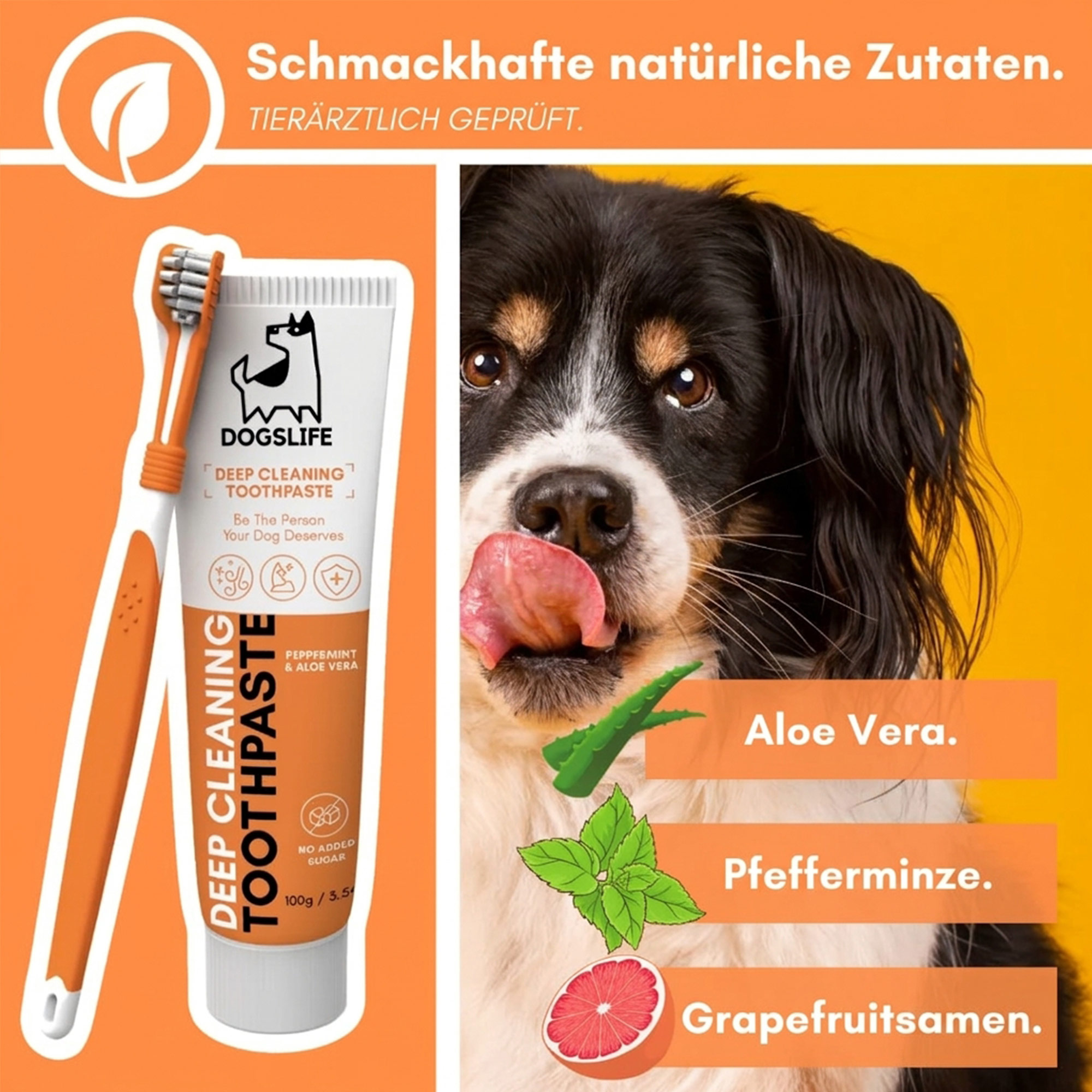 OurDogsLife Dental Care Kit for Dogs