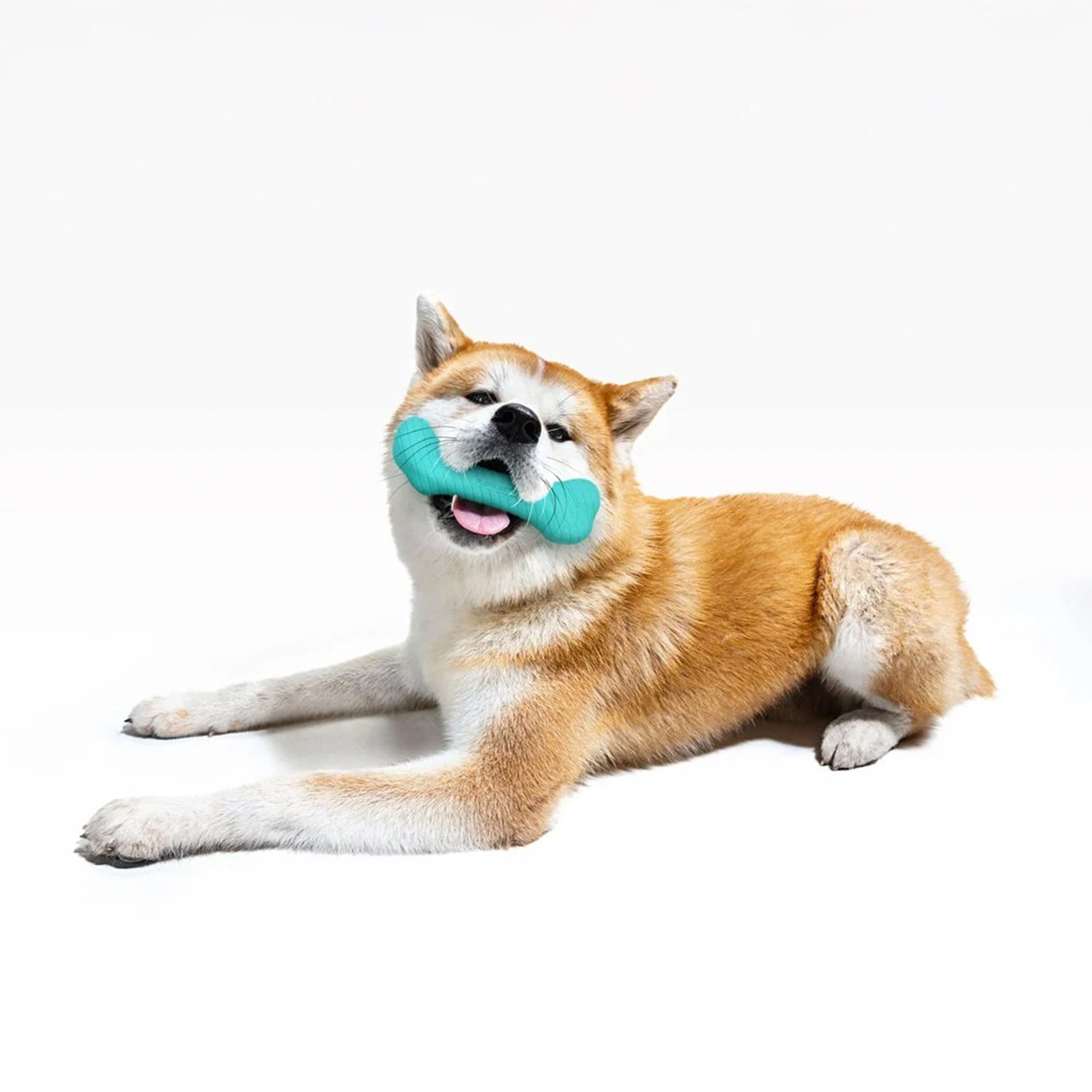 Playology Crunchy Femur