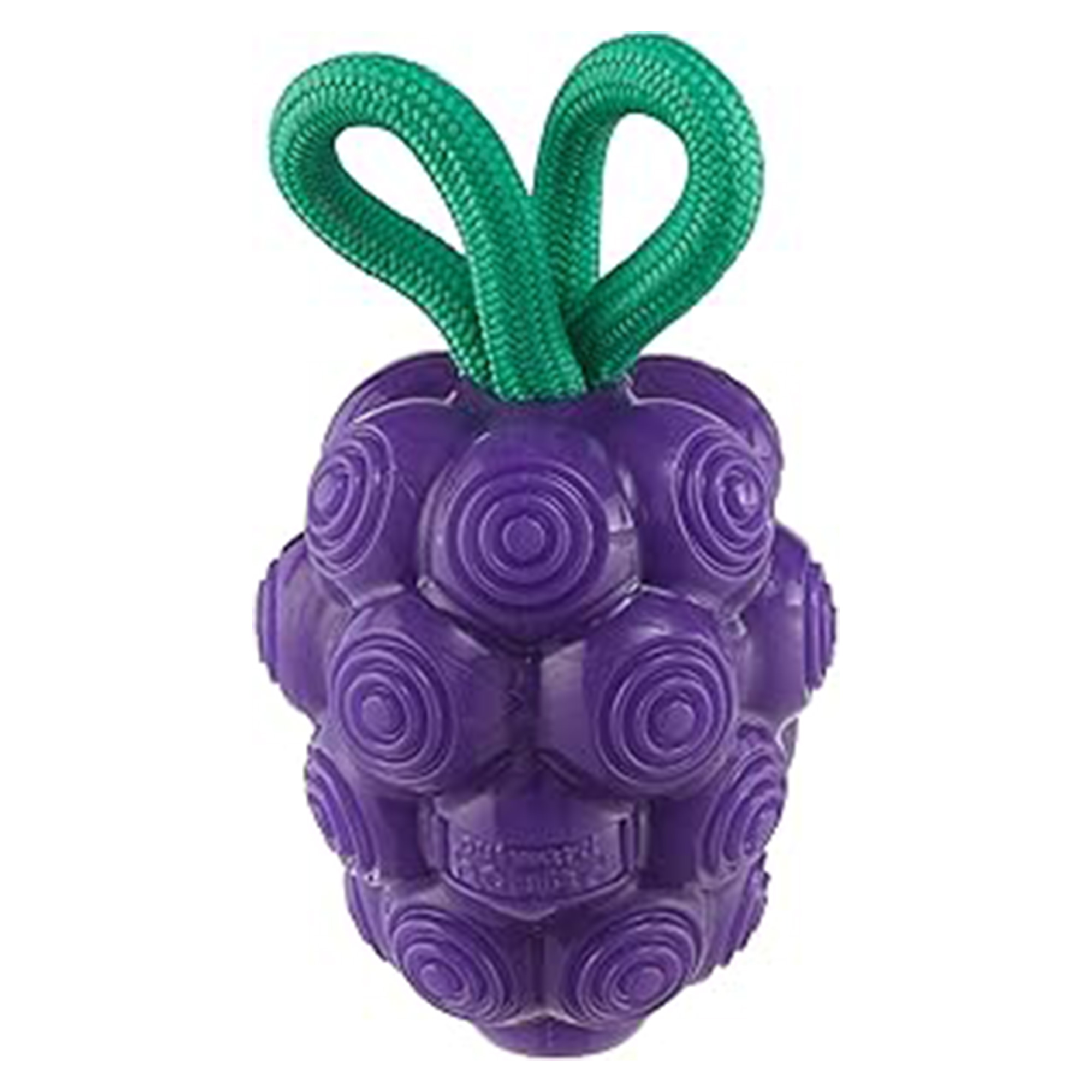 Outward Hound Dental Grape