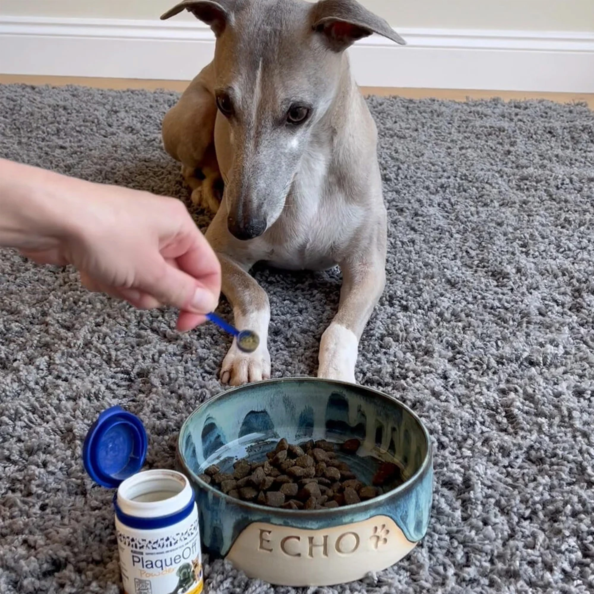 ProDen PlaqueOff® Powder for Dogs