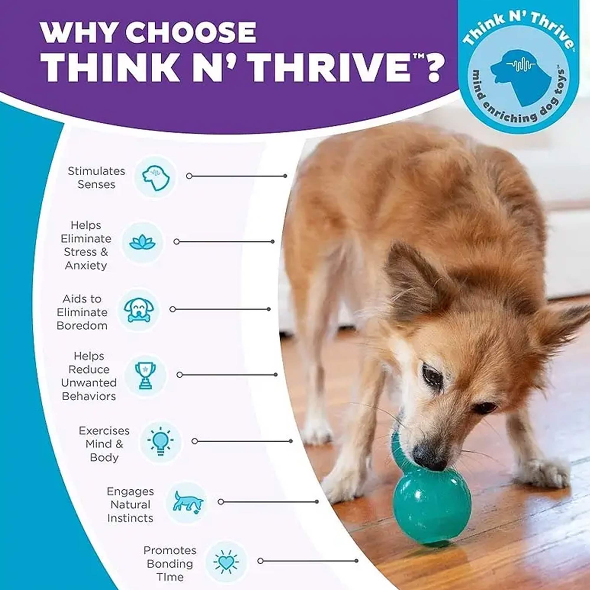 Planet Dog Double-Tuff