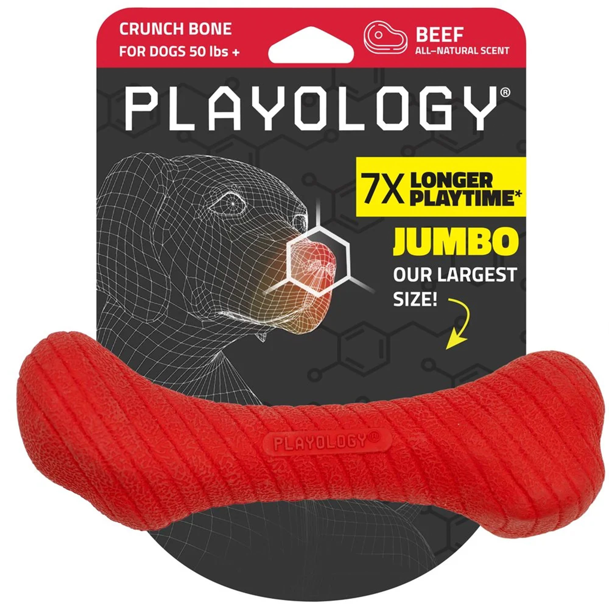 Playology Crunchy Femur