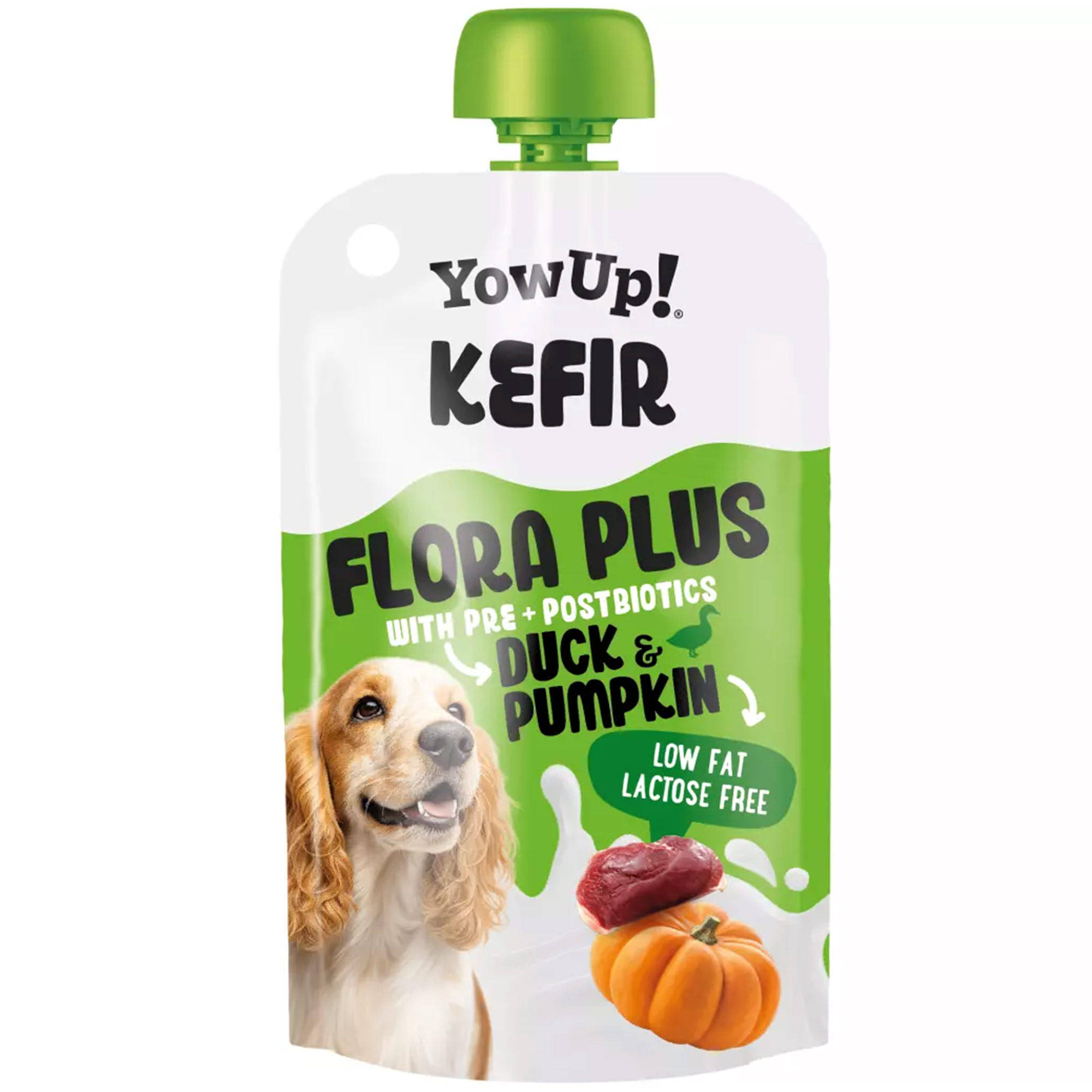 Yowup! Kefir Ente und Kürbis