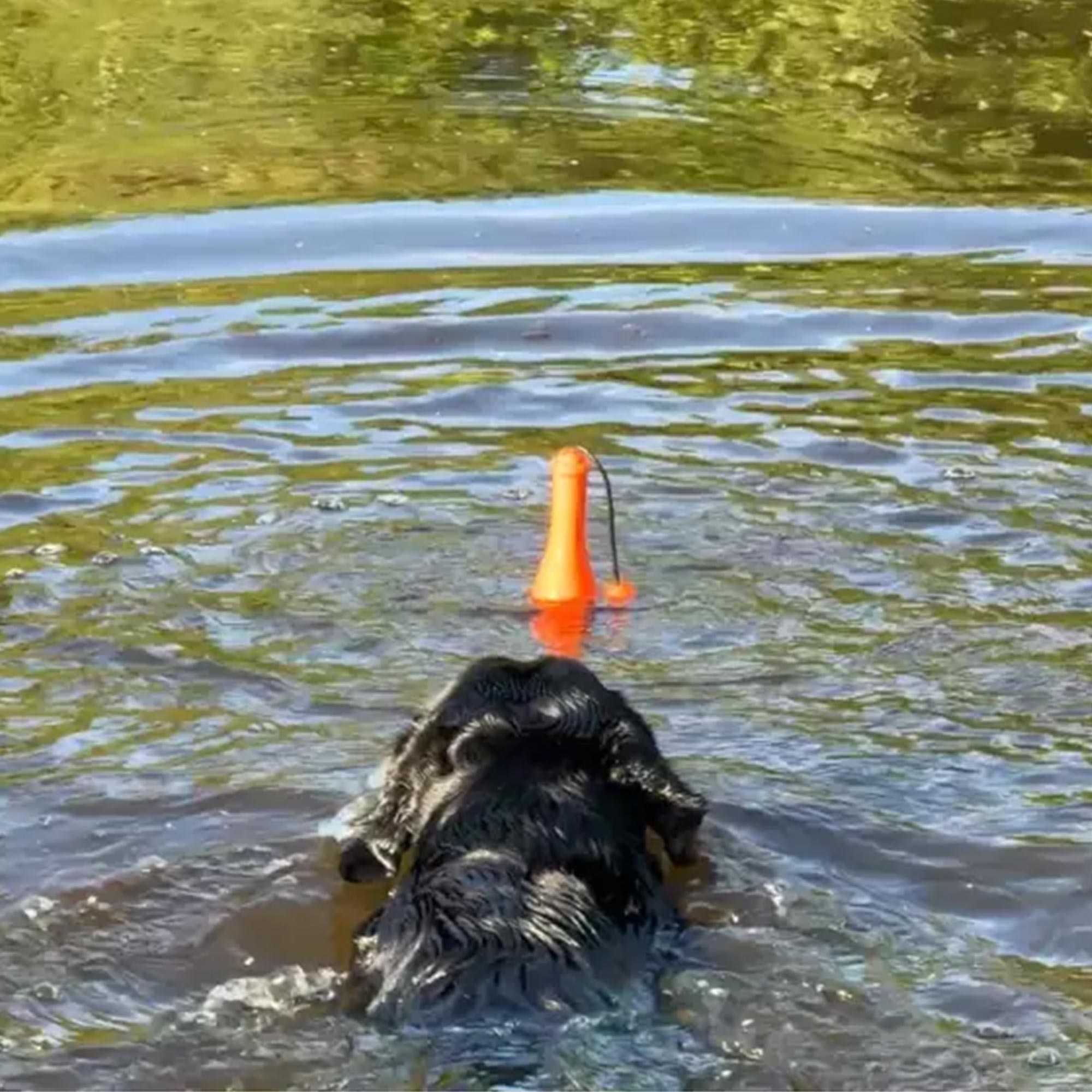 Dog Comets Bobber – Cosmic Fun for Your Dog! 🌊