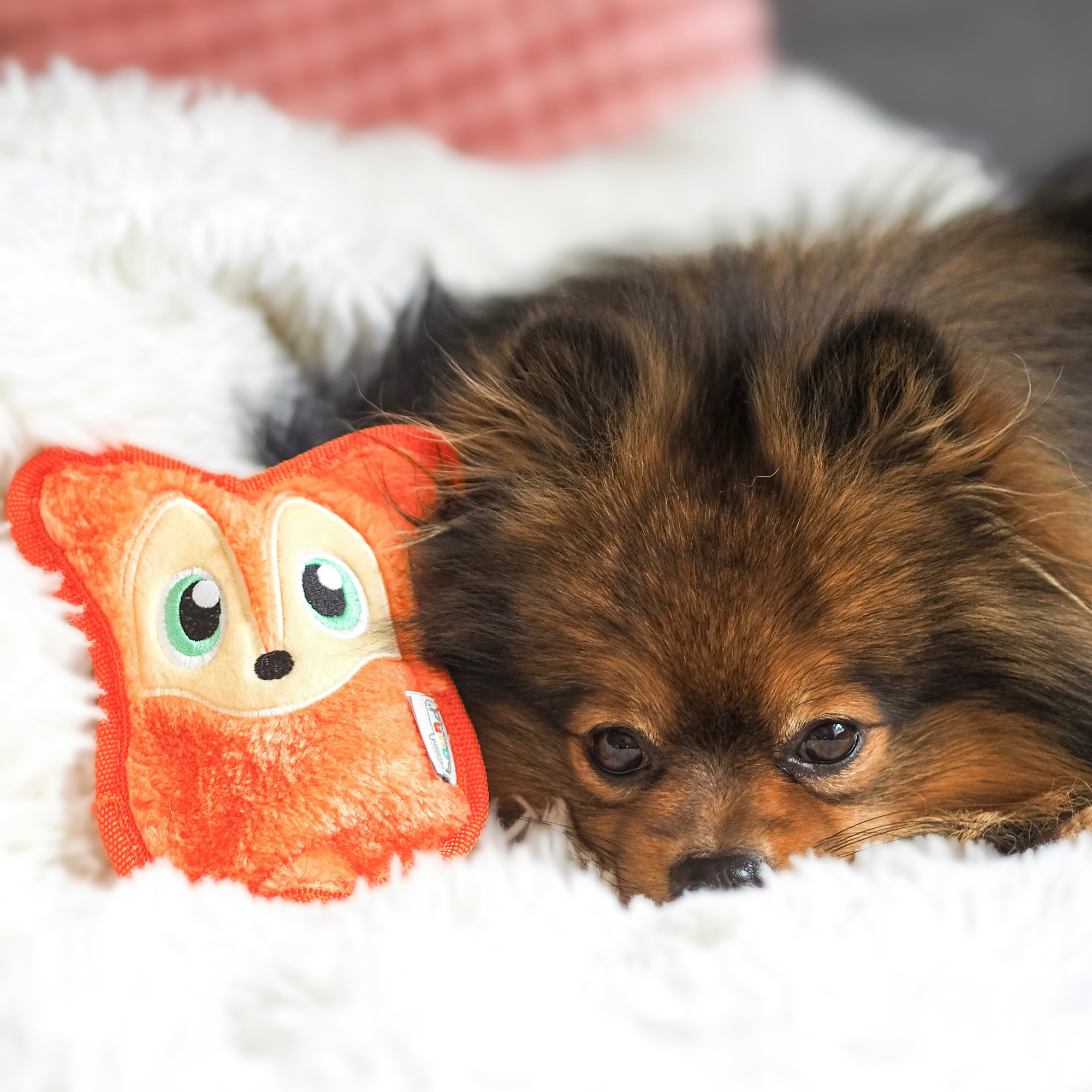 Outward Hound Durablez Fuchs ABVERKAUF