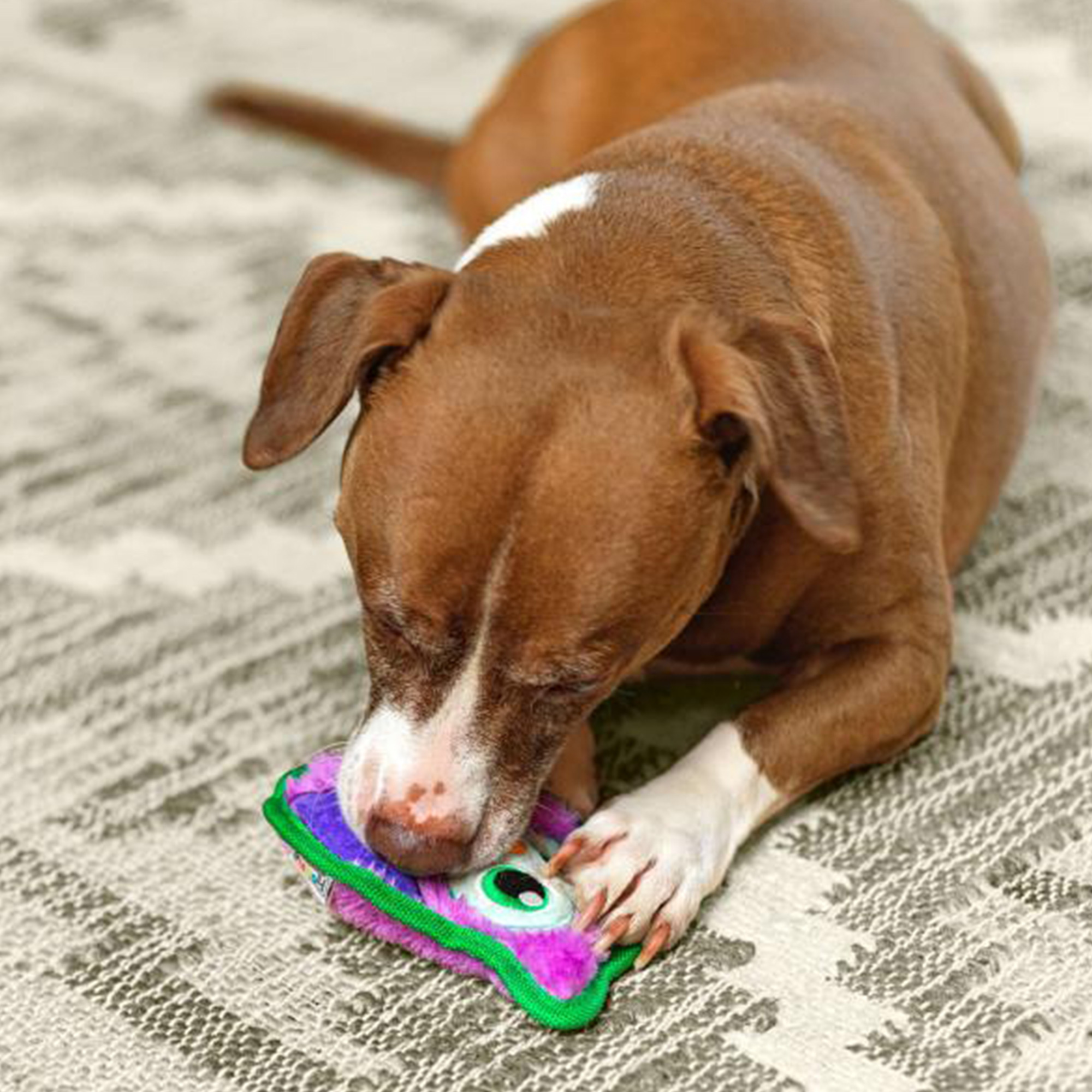 Outward Hound Durablez Owl (CLEARANCE SALE)