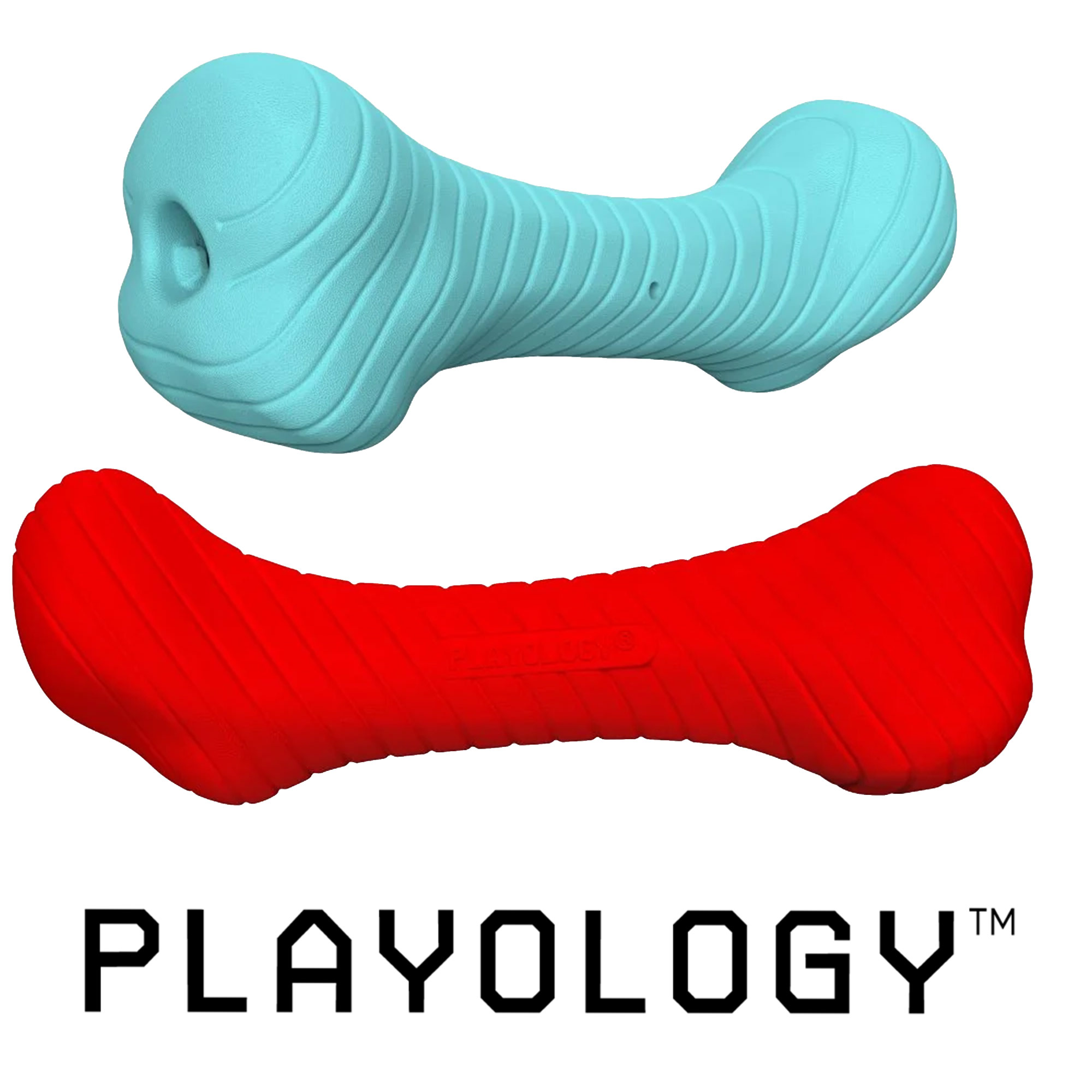 Playology Crunchy Femur