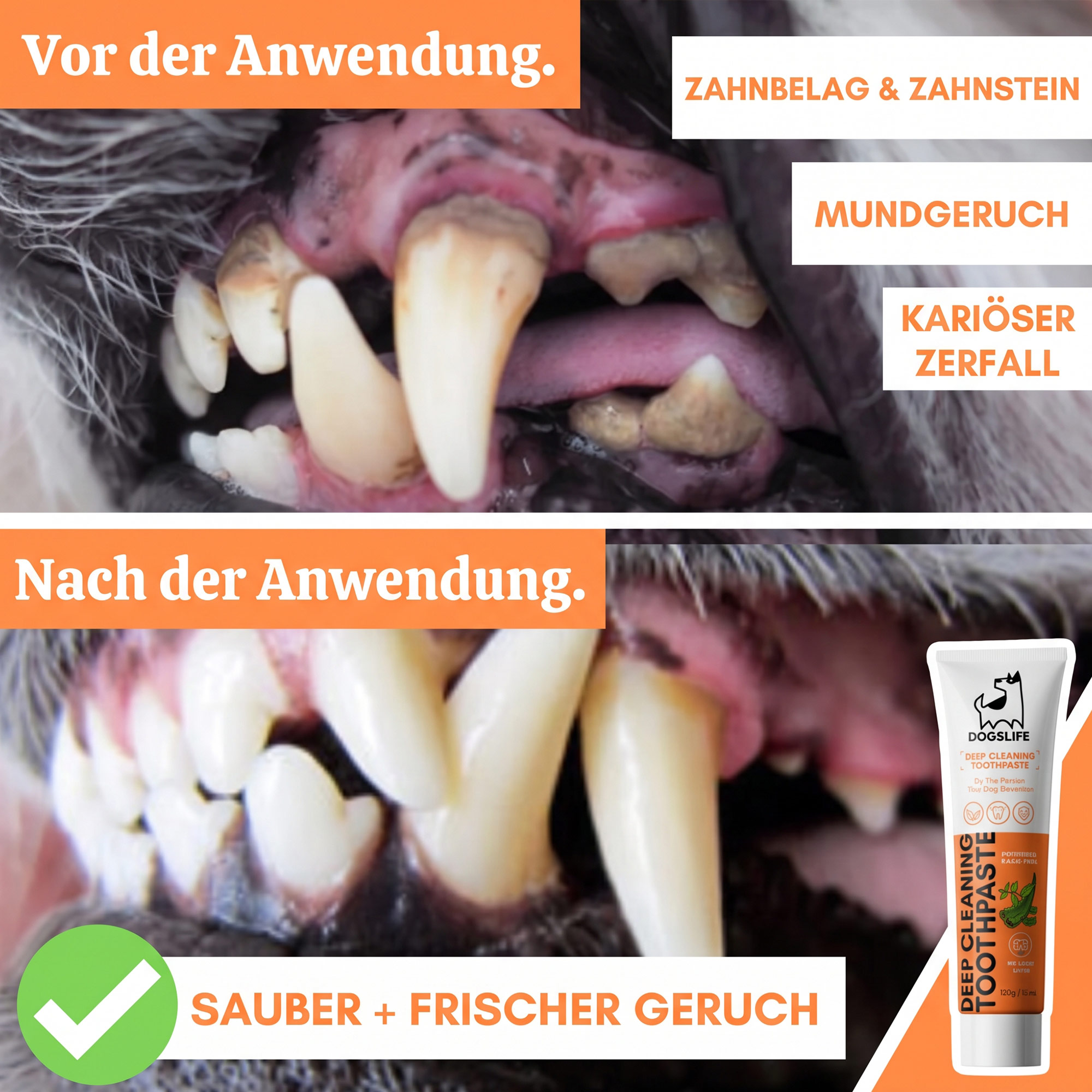 OurDogsLife Dental Care Kit for Dogs