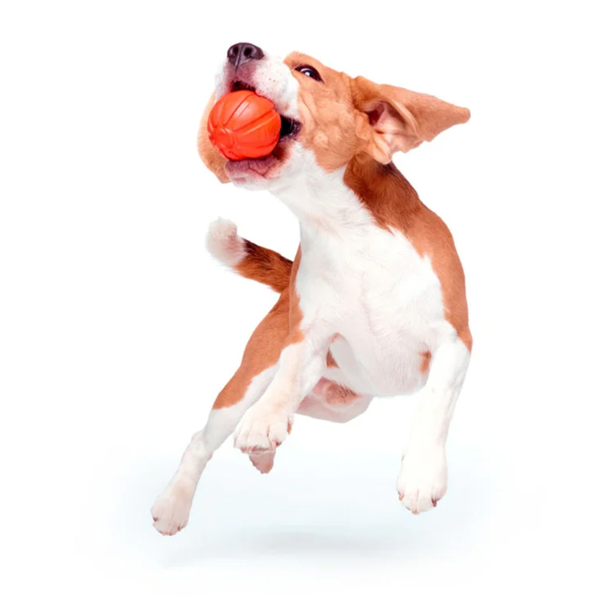 Multifunktionaler Hundeball LIKER – Das ultimative Apportierspielzeug