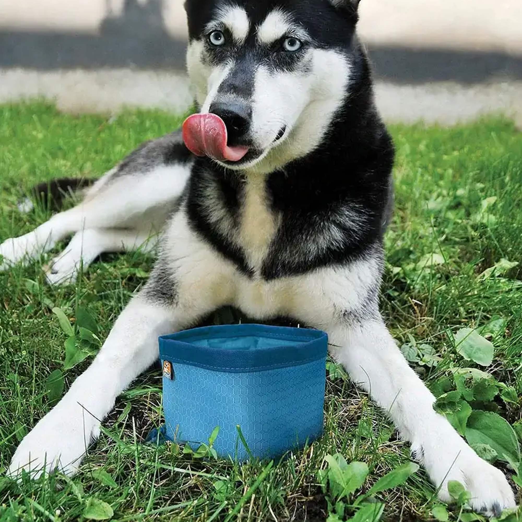 KURGO Zippy Bowl faltbarer Trinknapf verschiedene Farben