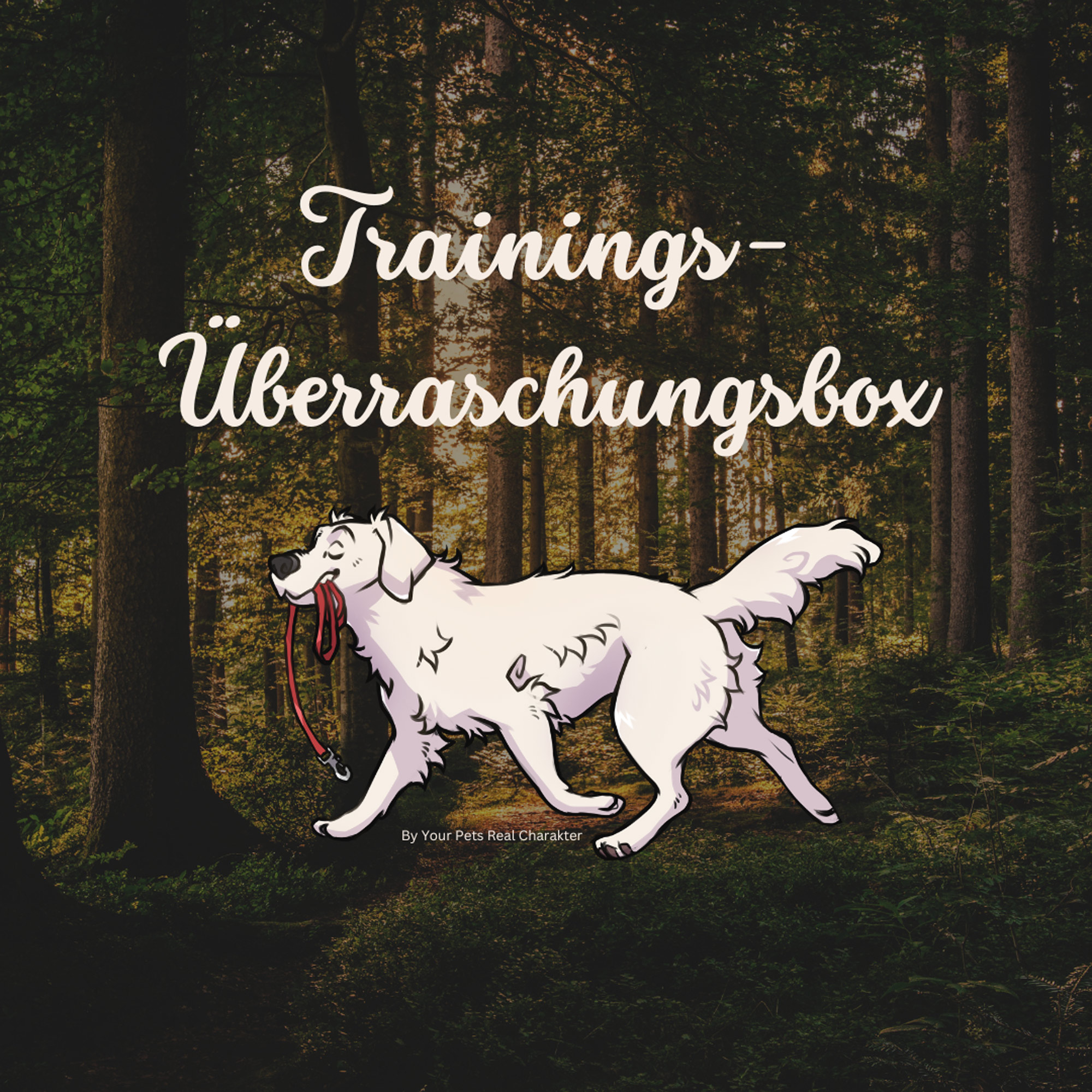 Trainings-Überraschungsbox