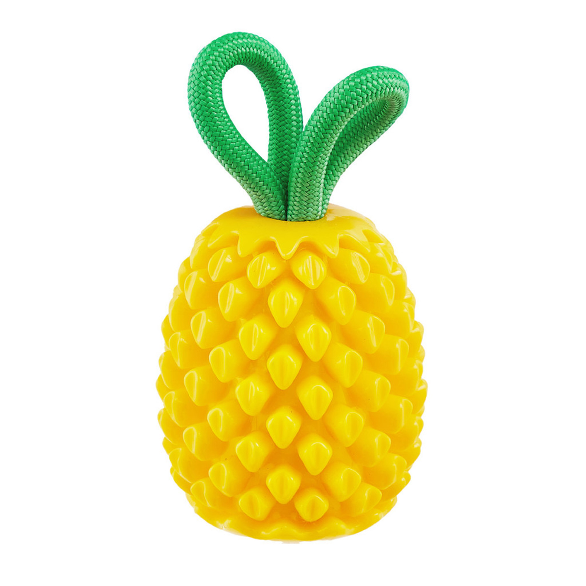 Outward Hound Dental Pineapple 