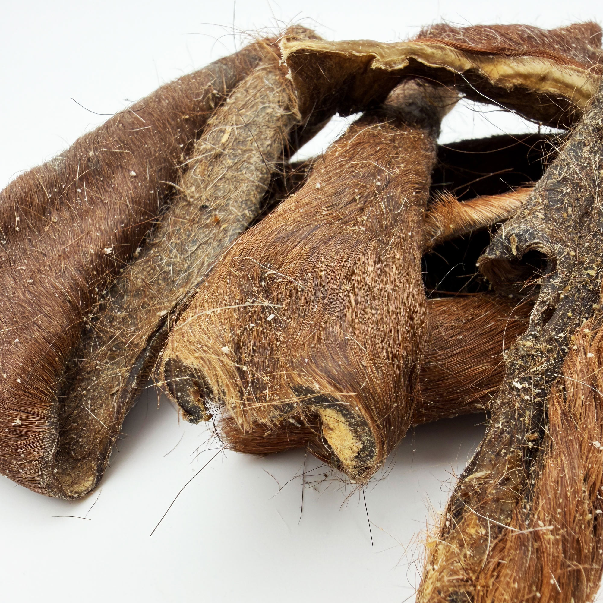 Horse Hide with Fur