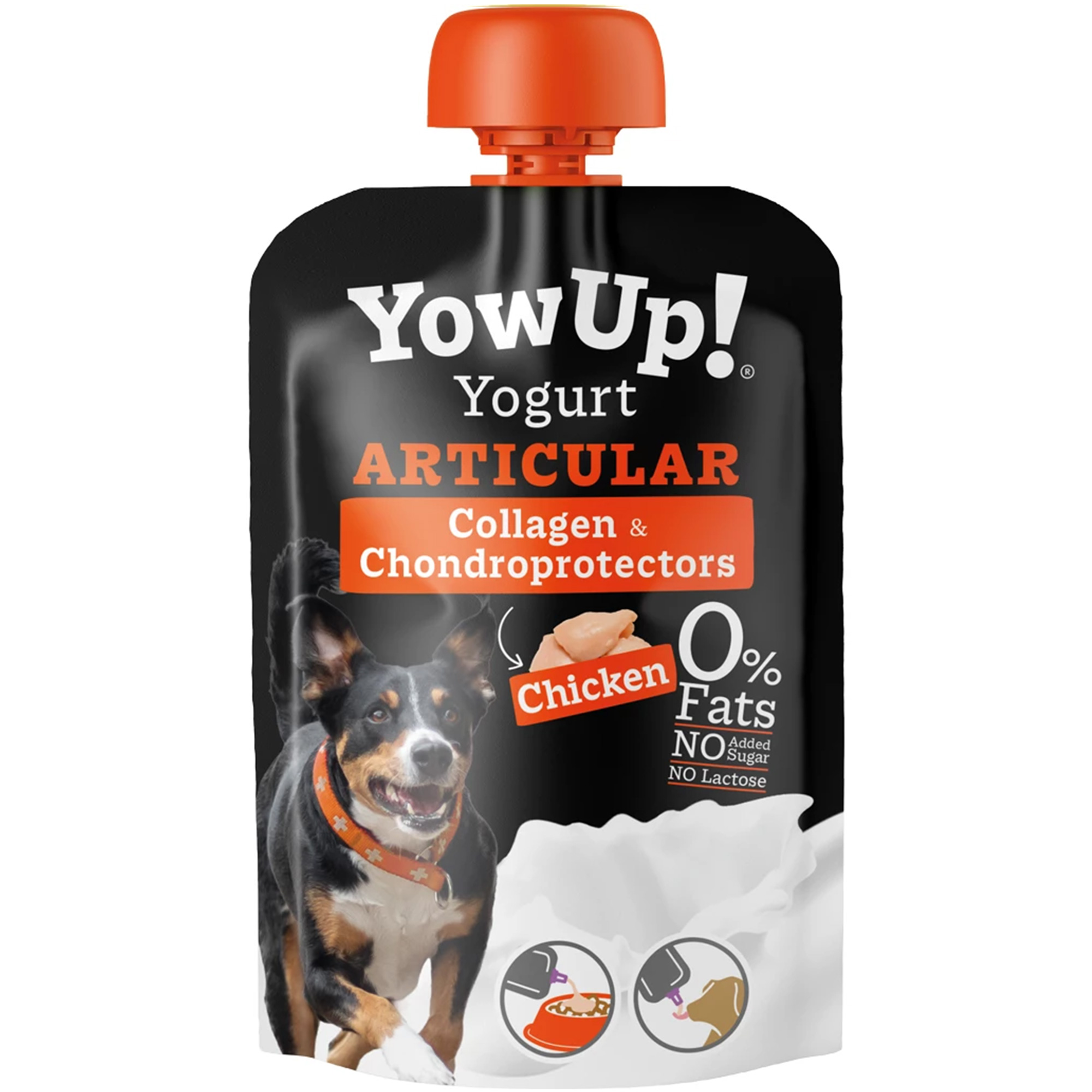 YowUp! Yogurt Huhn für Gelenke 