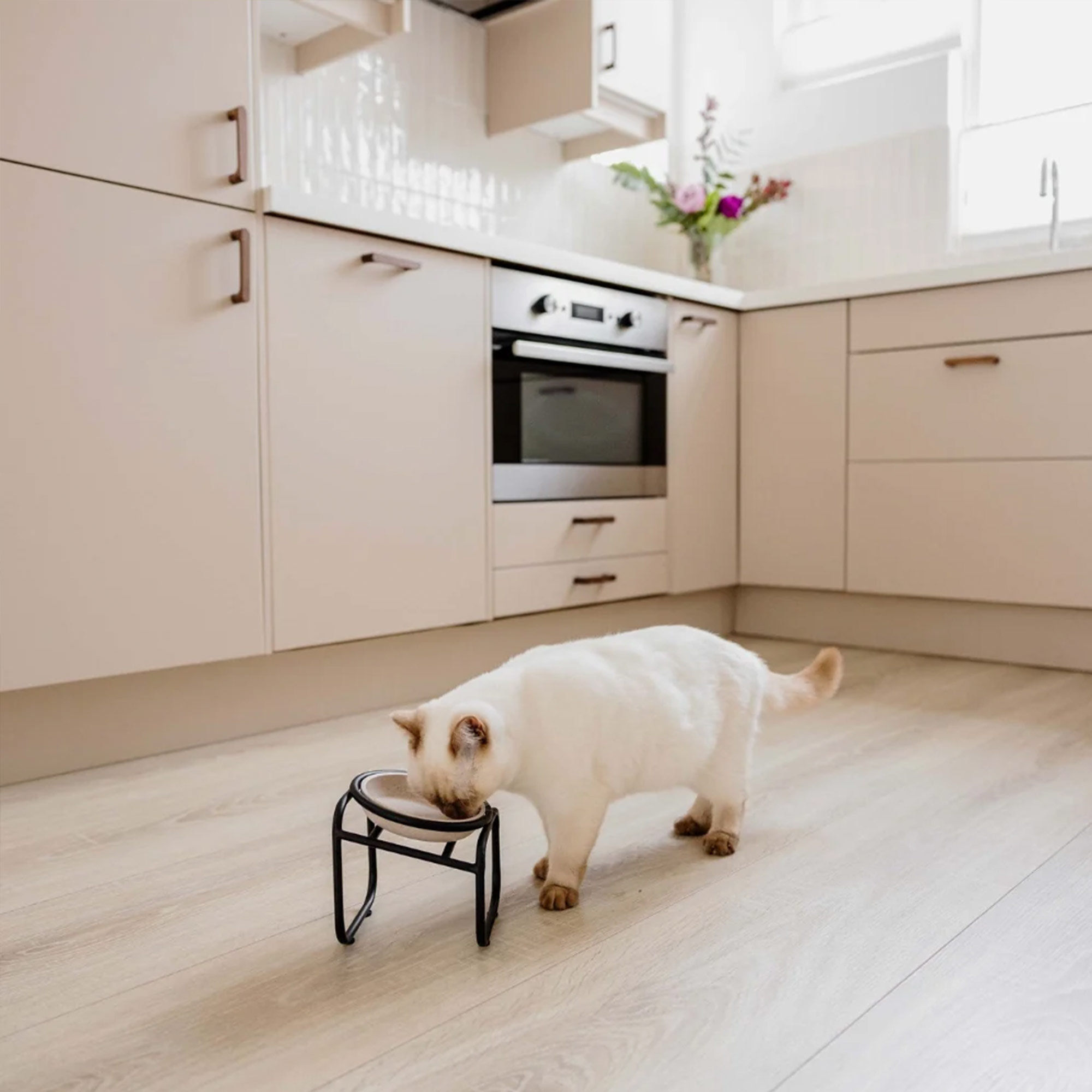 District 70 BUTLER Single Napfständer für Katzen – Schwarz