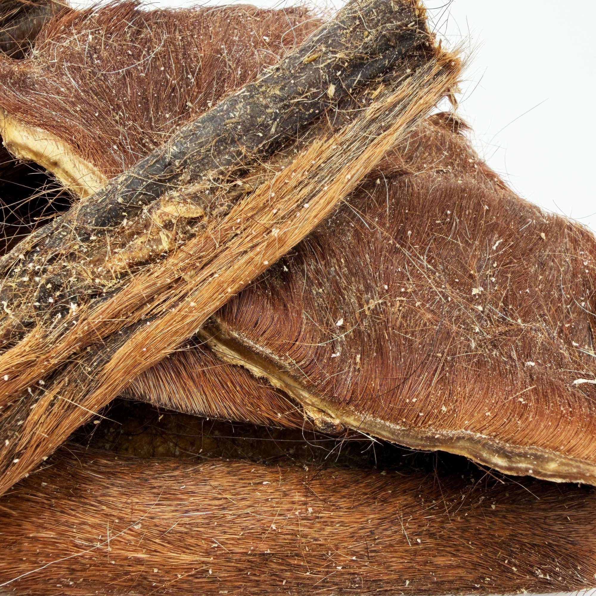 Horse Hide with Fur