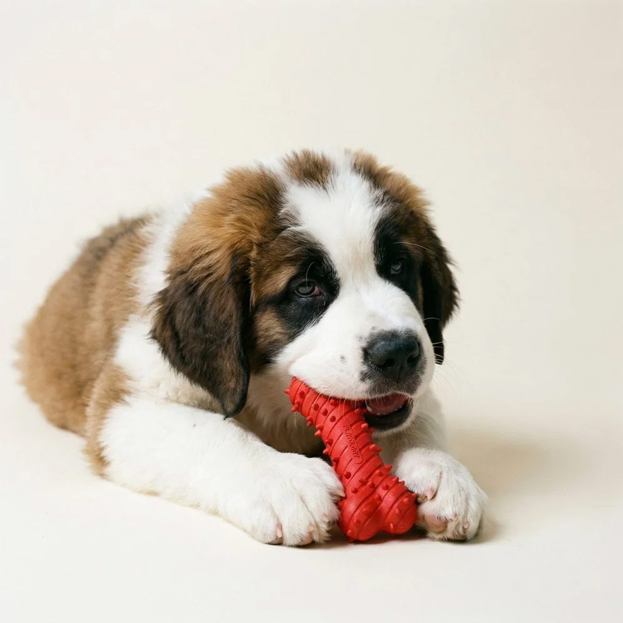 Playology Teething Bone Jumbo – Rind